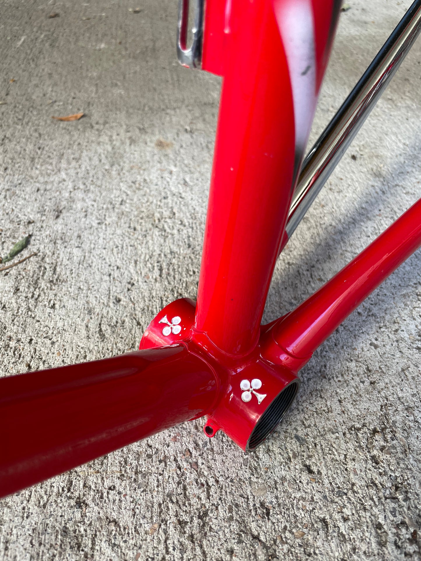 Colnago Master