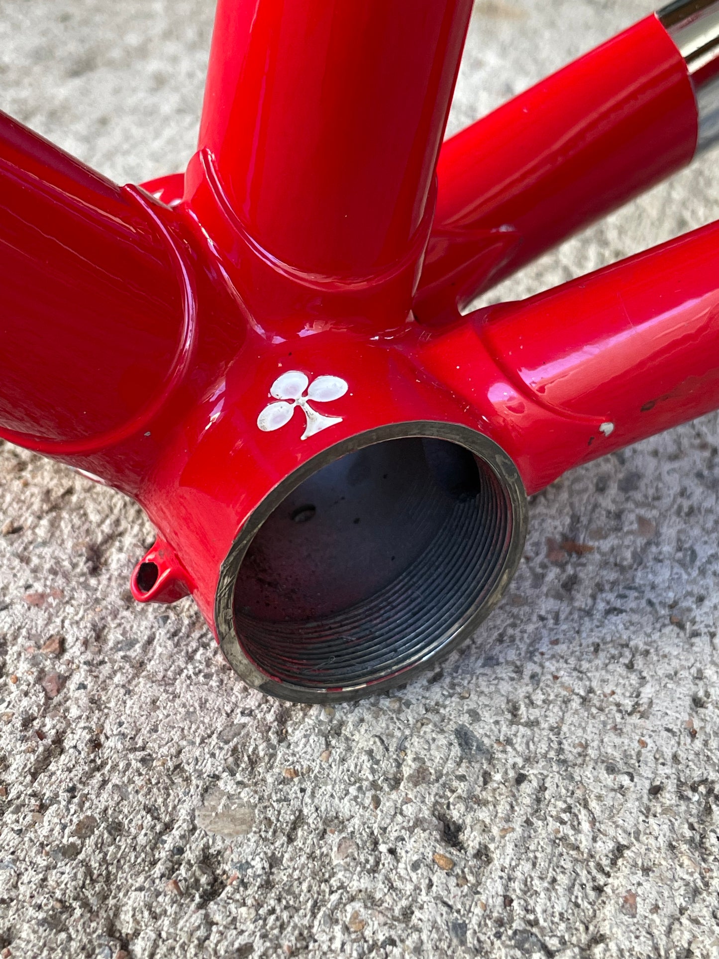 Colnago Master