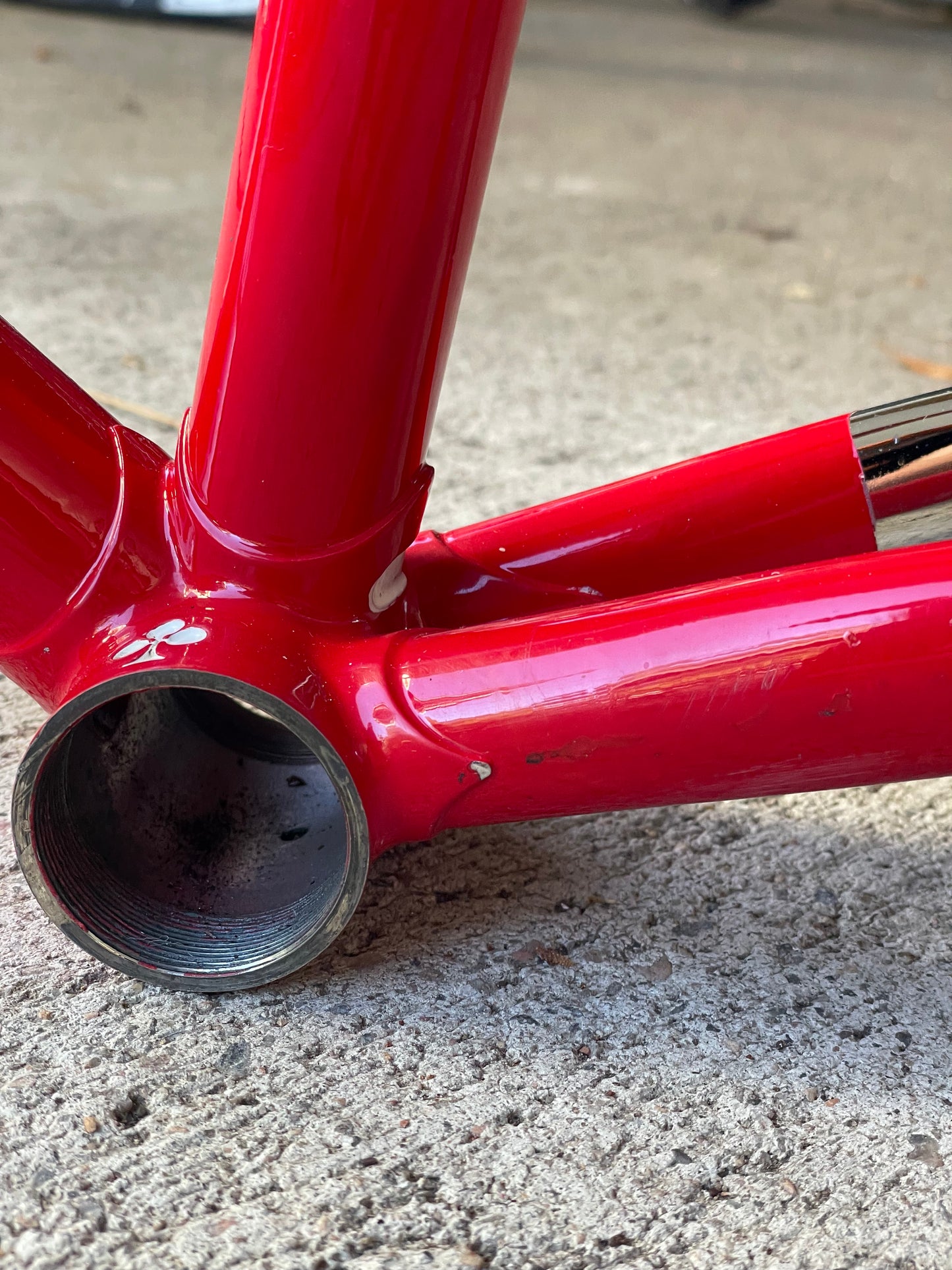 Colnago Master
