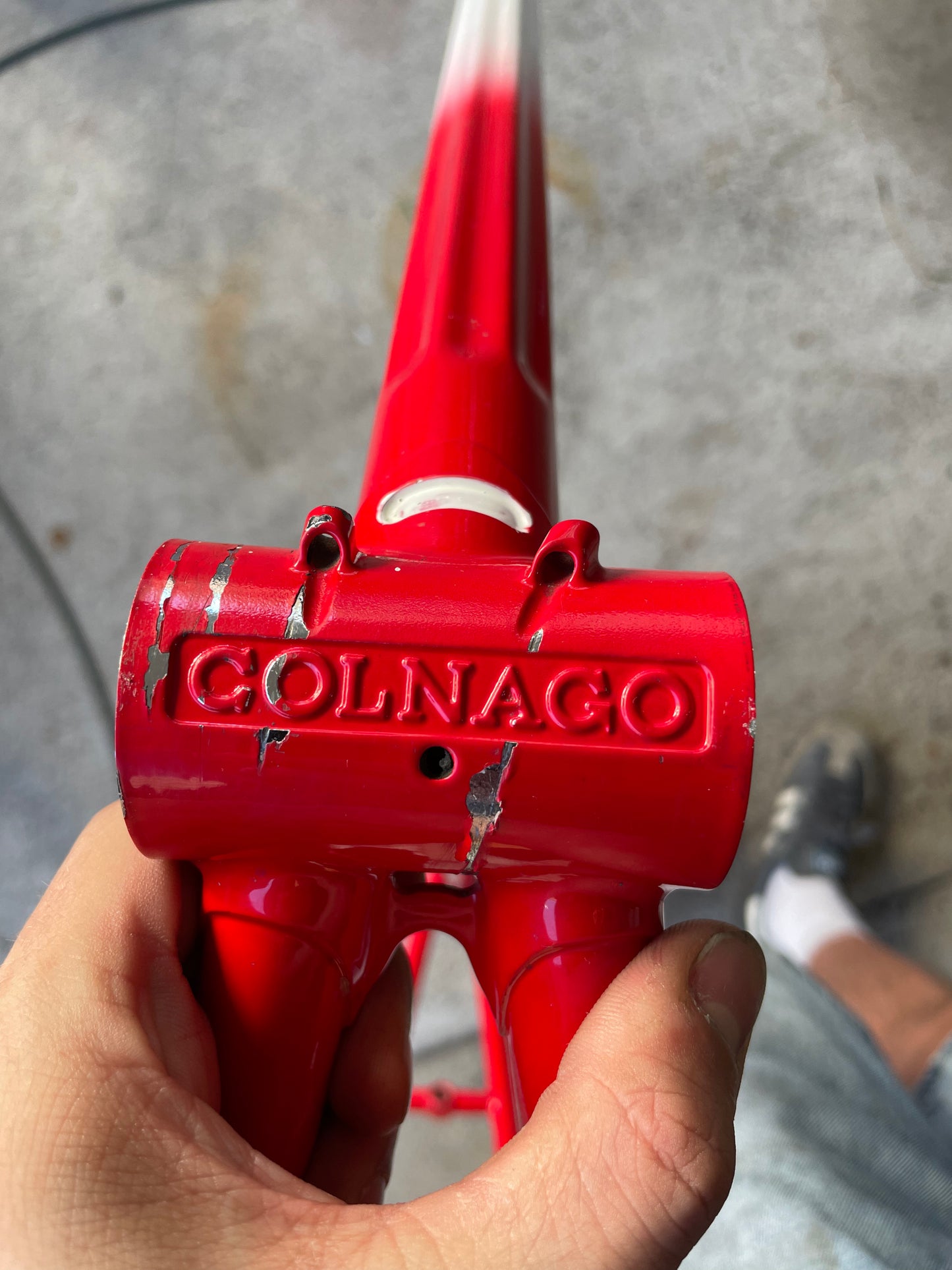 Colnago Master