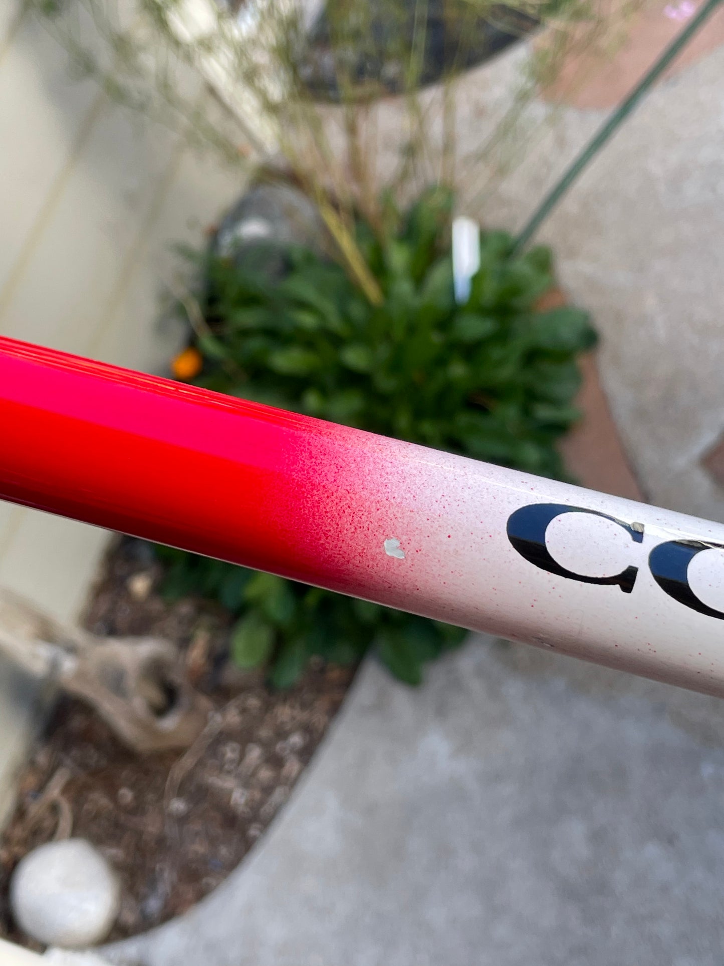 Colnago Master