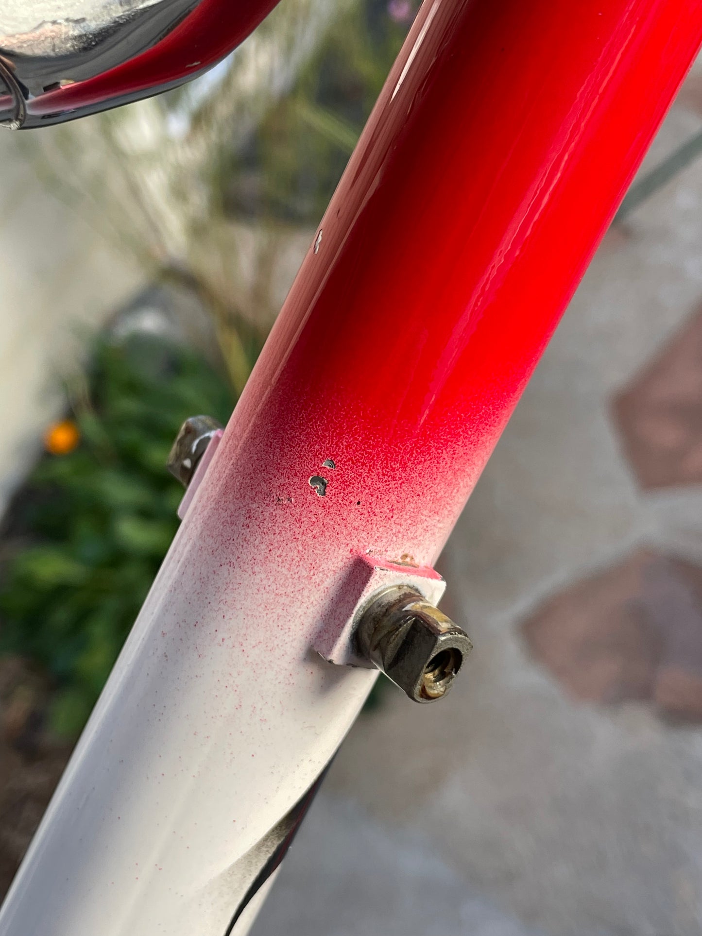 Colnago Master
