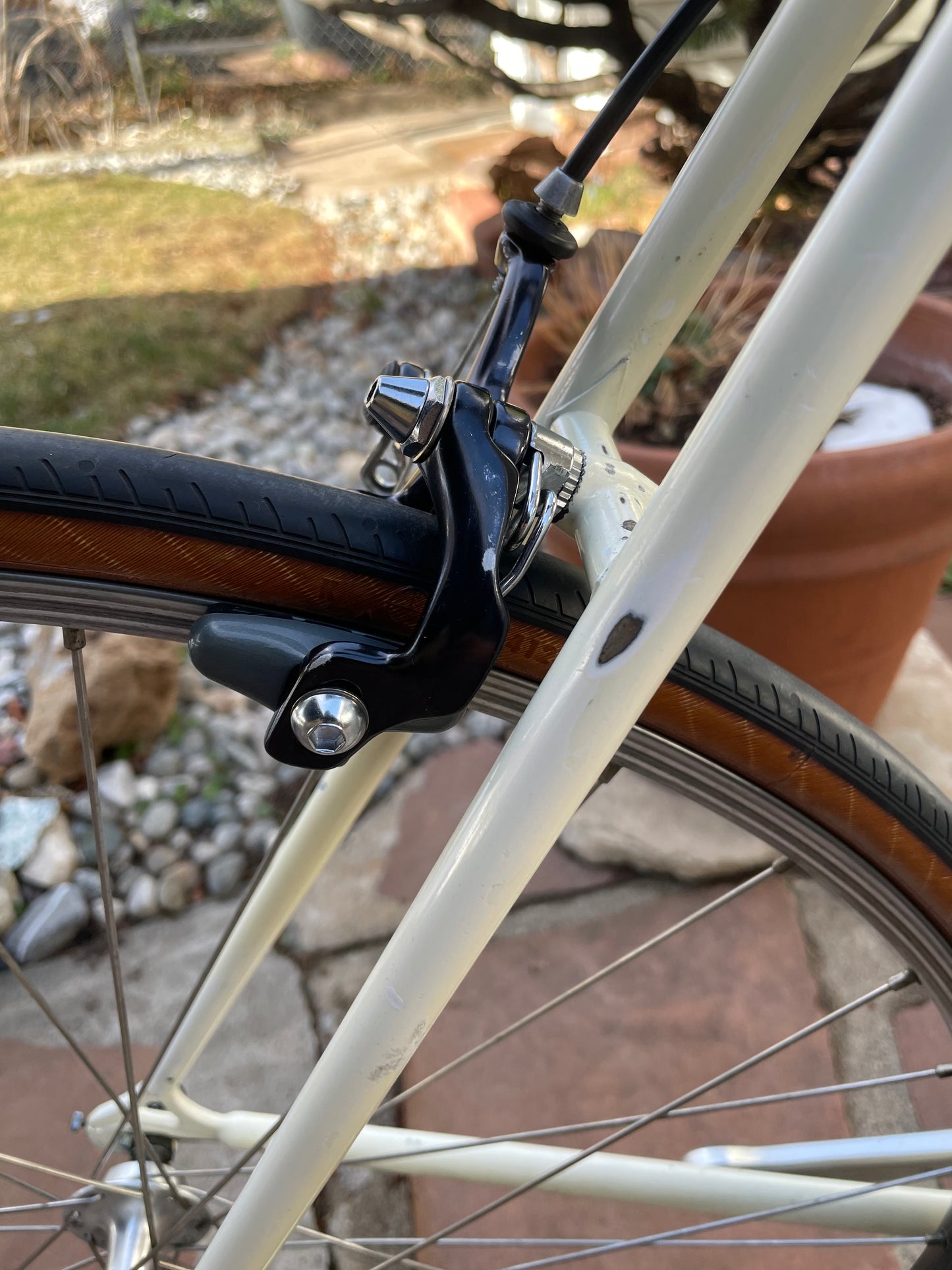 Specialized Allez