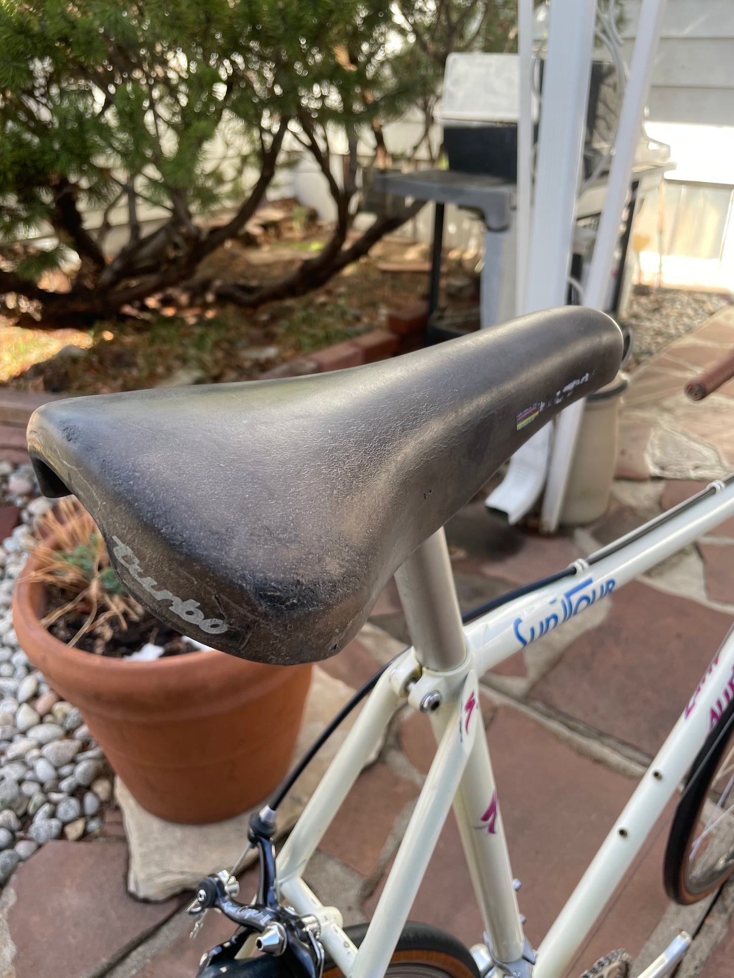 Specialized Allez