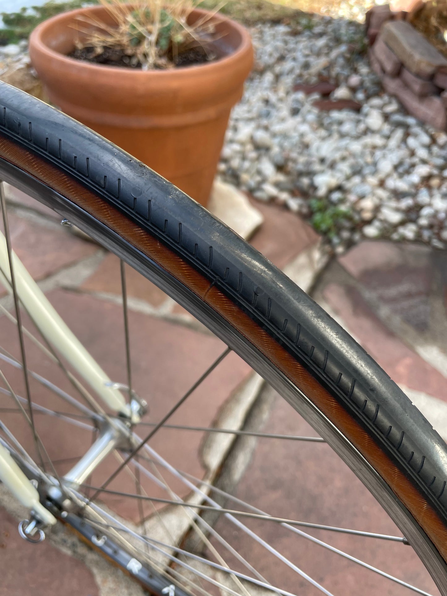 Specialized Allez