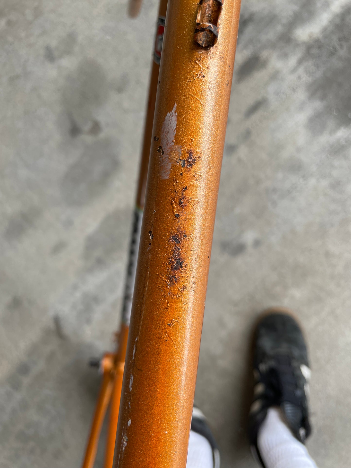 France-Loire Super Vitus 980