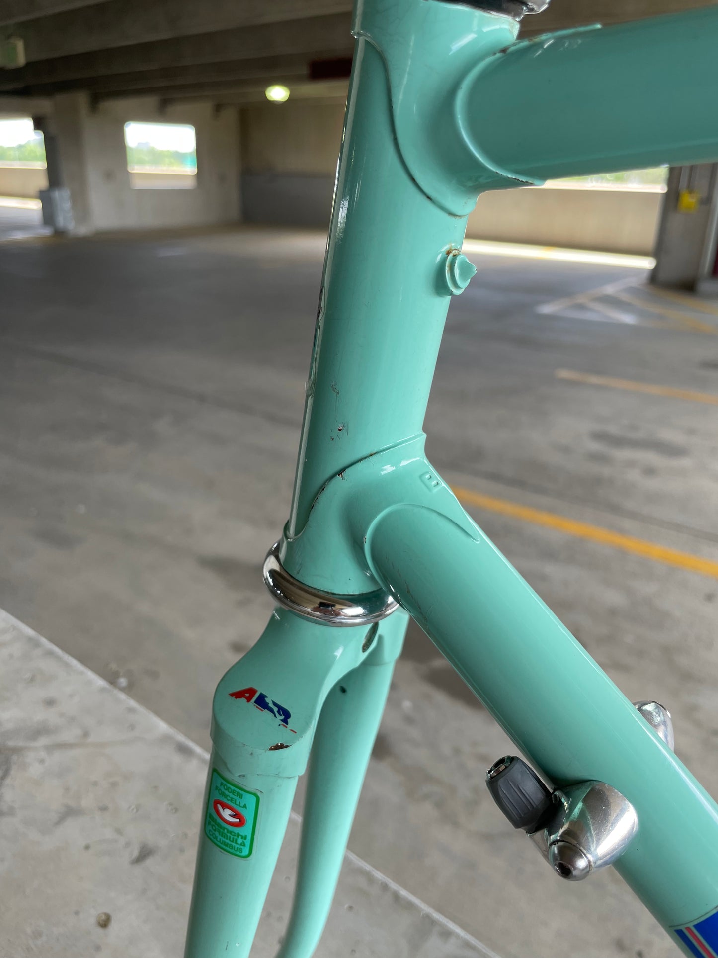 Bianchi Campione Del Mondo