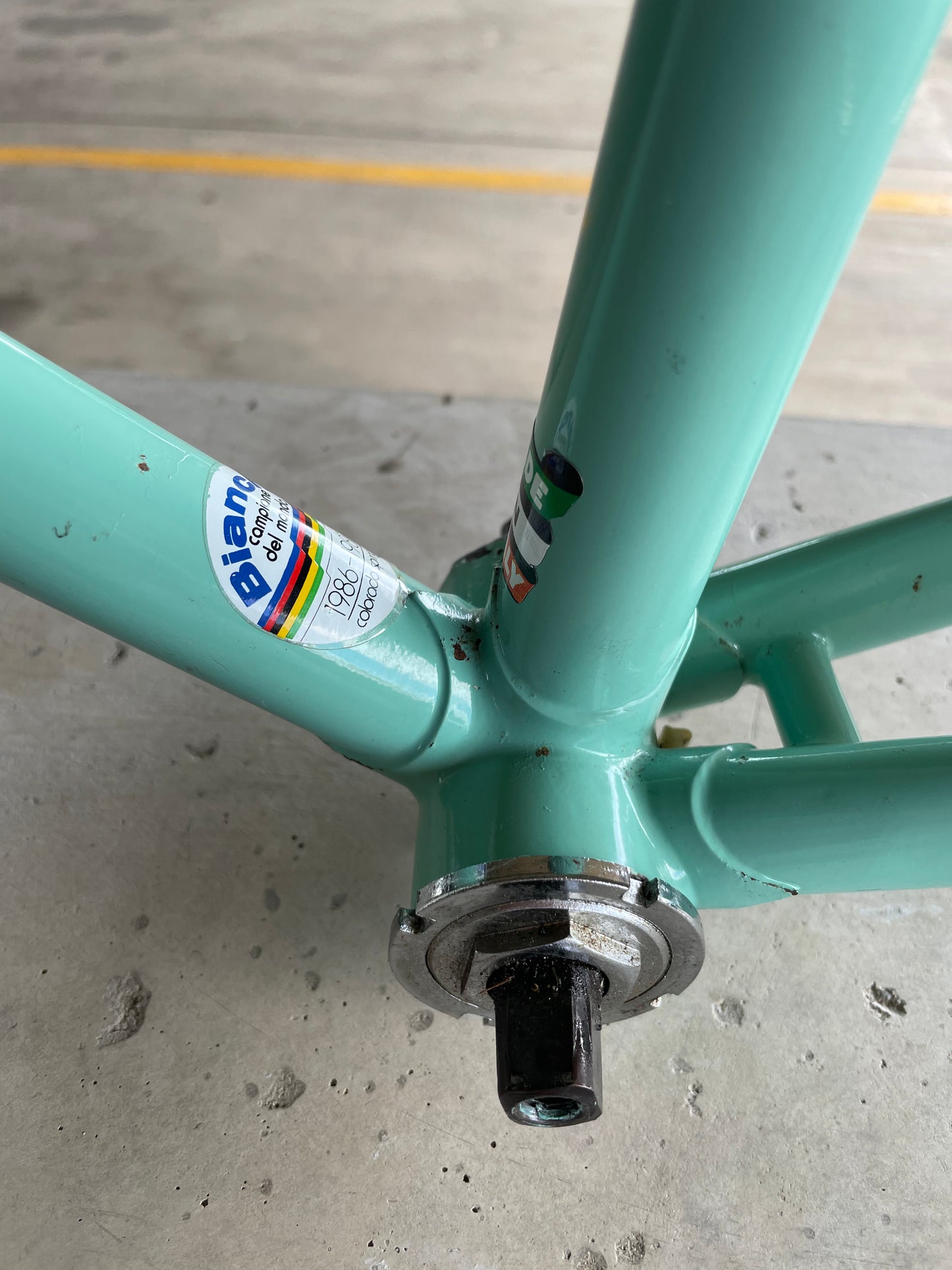 Bianchi Campione Del Mondo