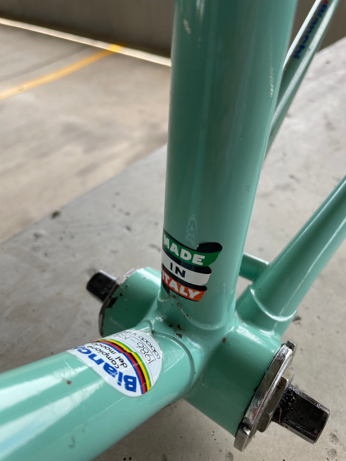 Bianchi Campione Del Mondo