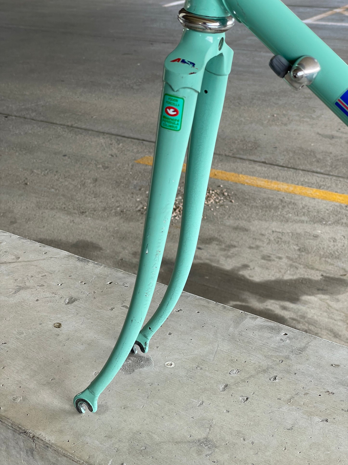 Bianchi Campione Del Mondo