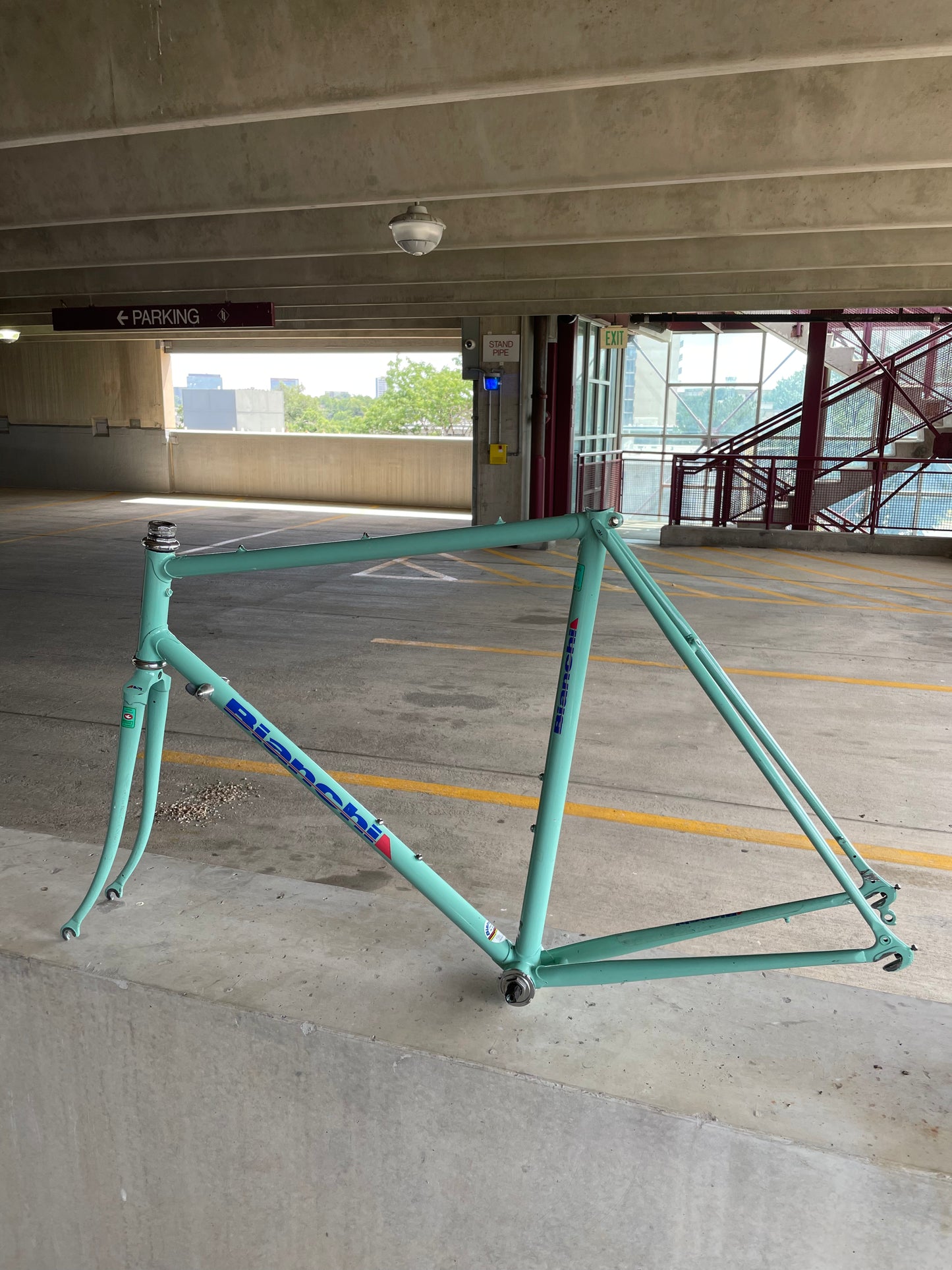 Bianchi Campione Del Mondo