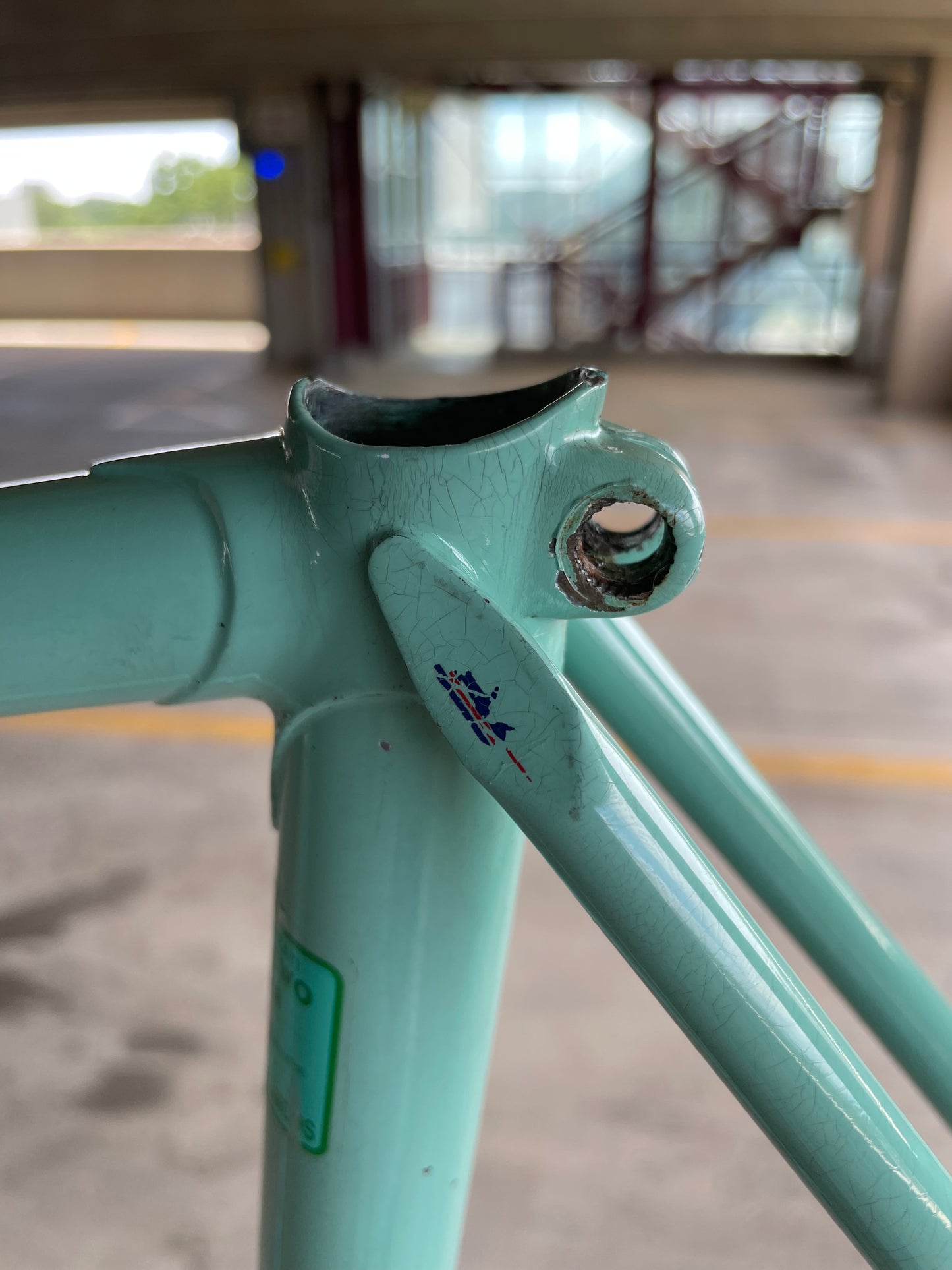 Bianchi Campione Del Mondo