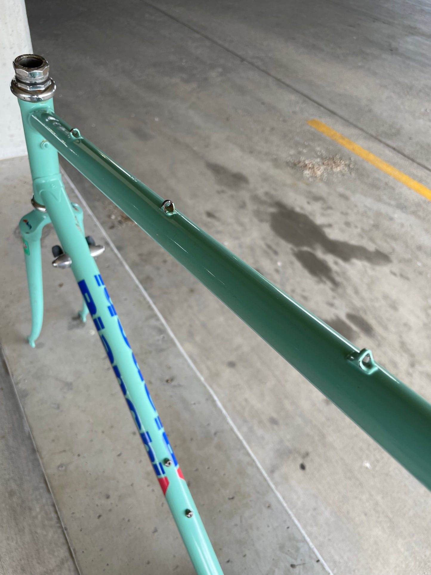 Bianchi Campione Del Mondo