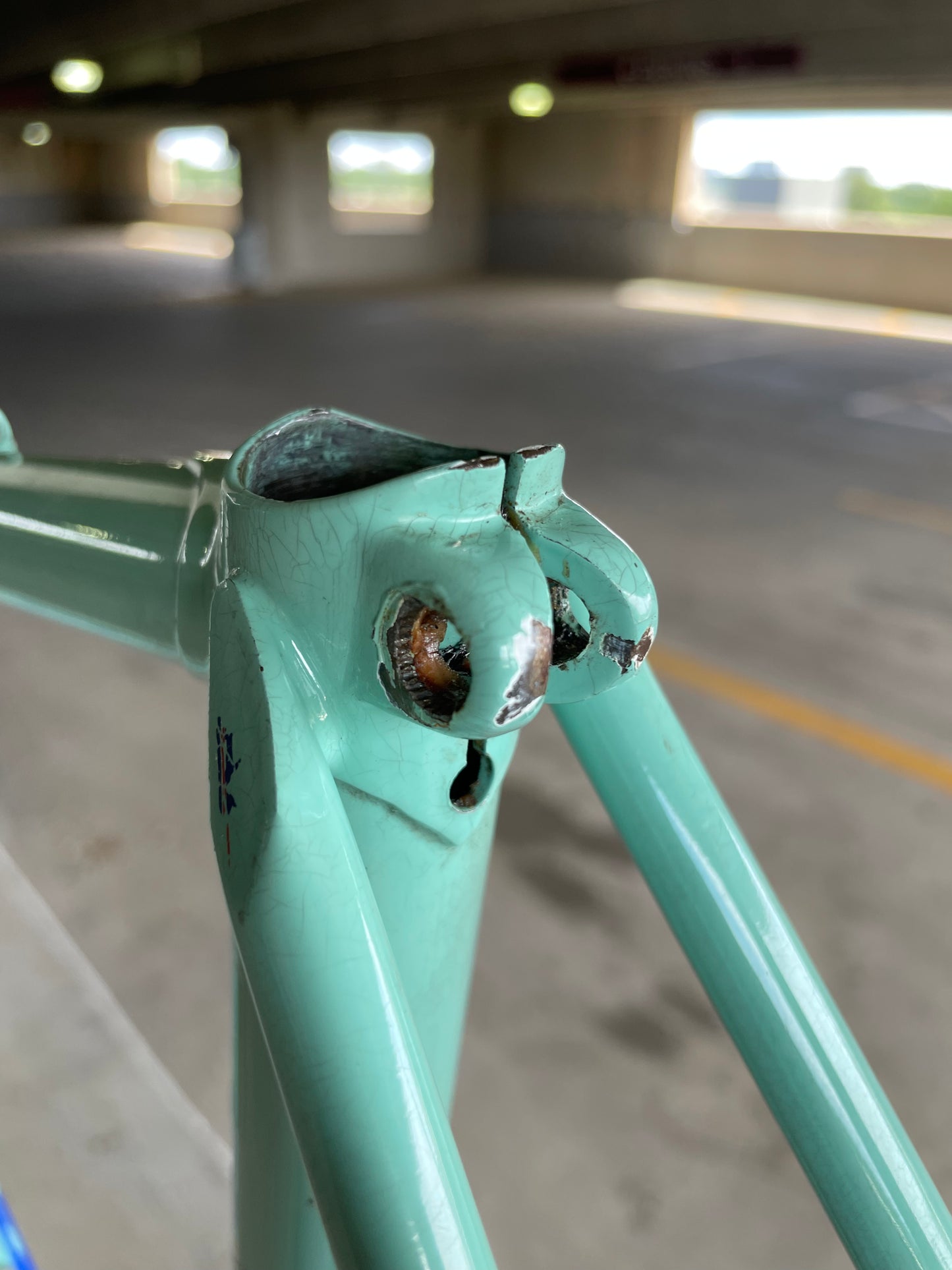 Bianchi Campione Del Mondo