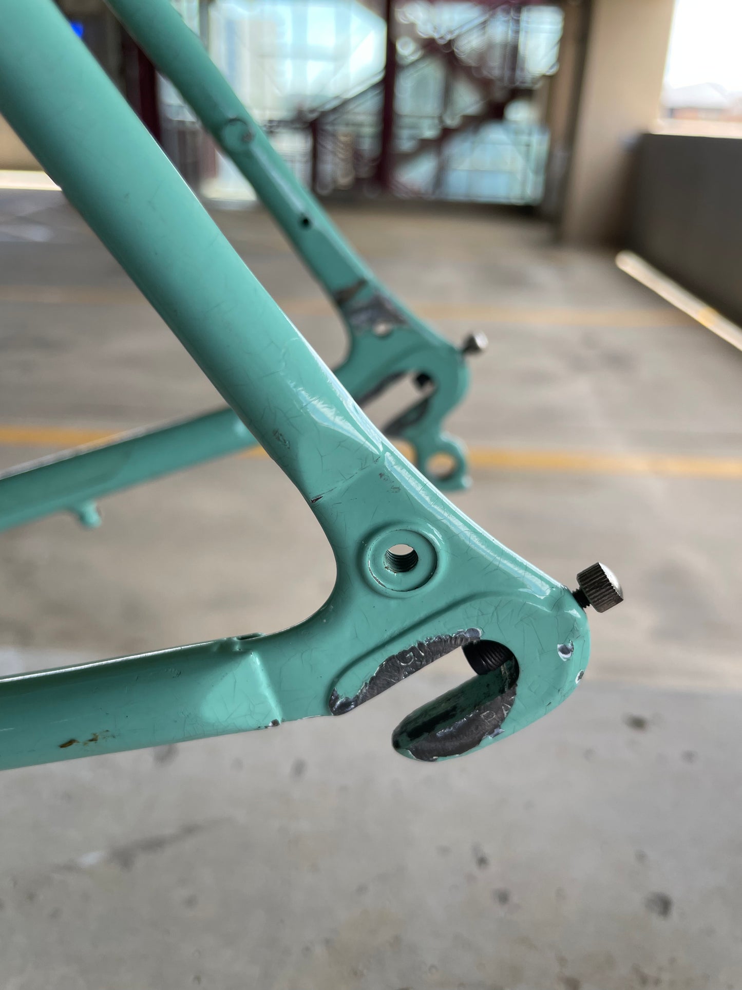 Bianchi Campione Del Mondo