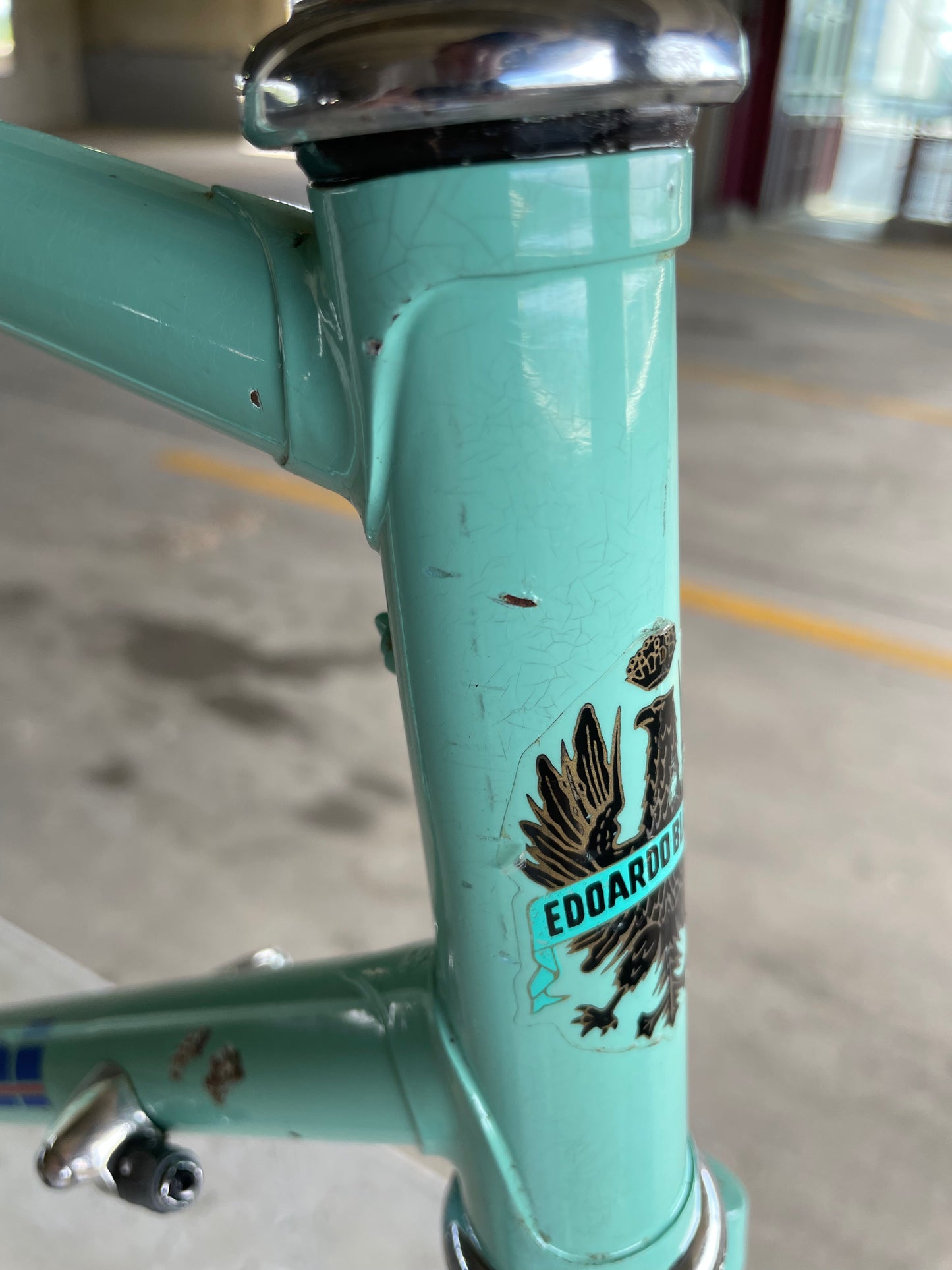 Bianchi Campione Del Mondo