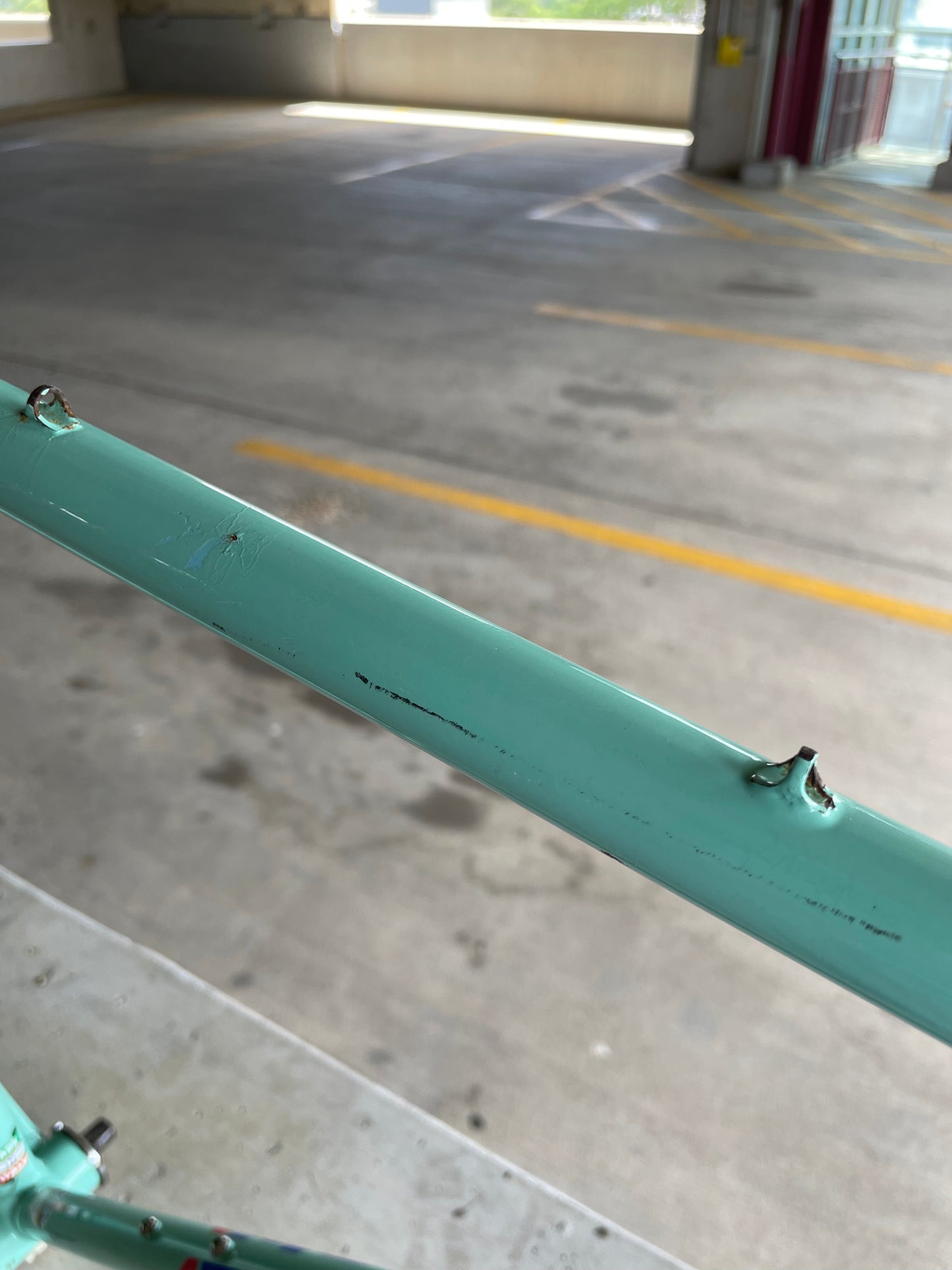 Bianchi Campione Del Mondo