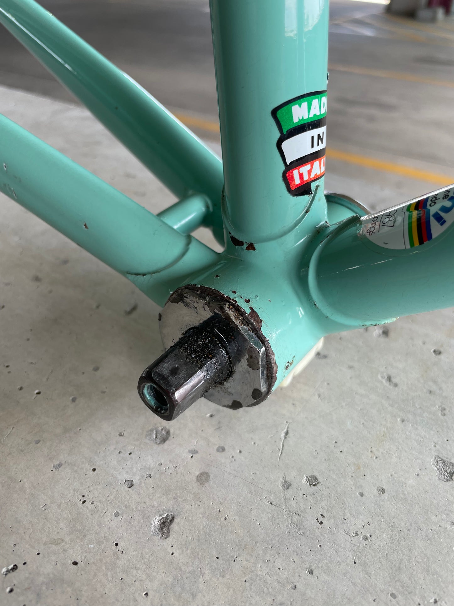 Bianchi Campione Del Mondo