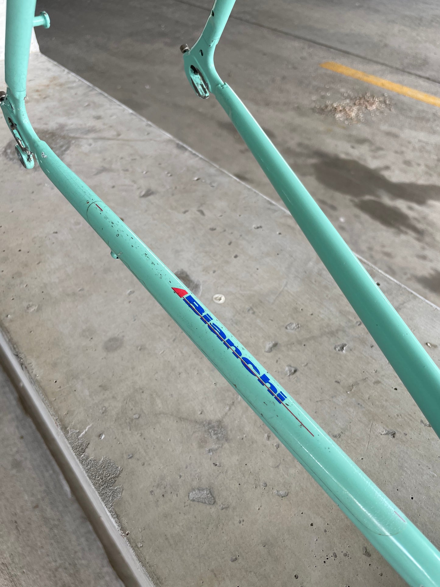 Bianchi Campione Del Mondo