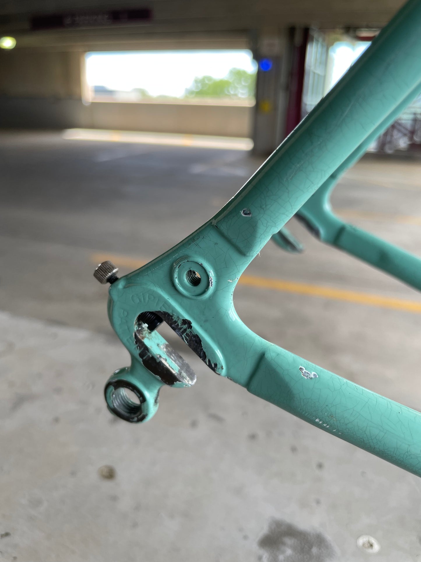 Bianchi Campione Del Mondo