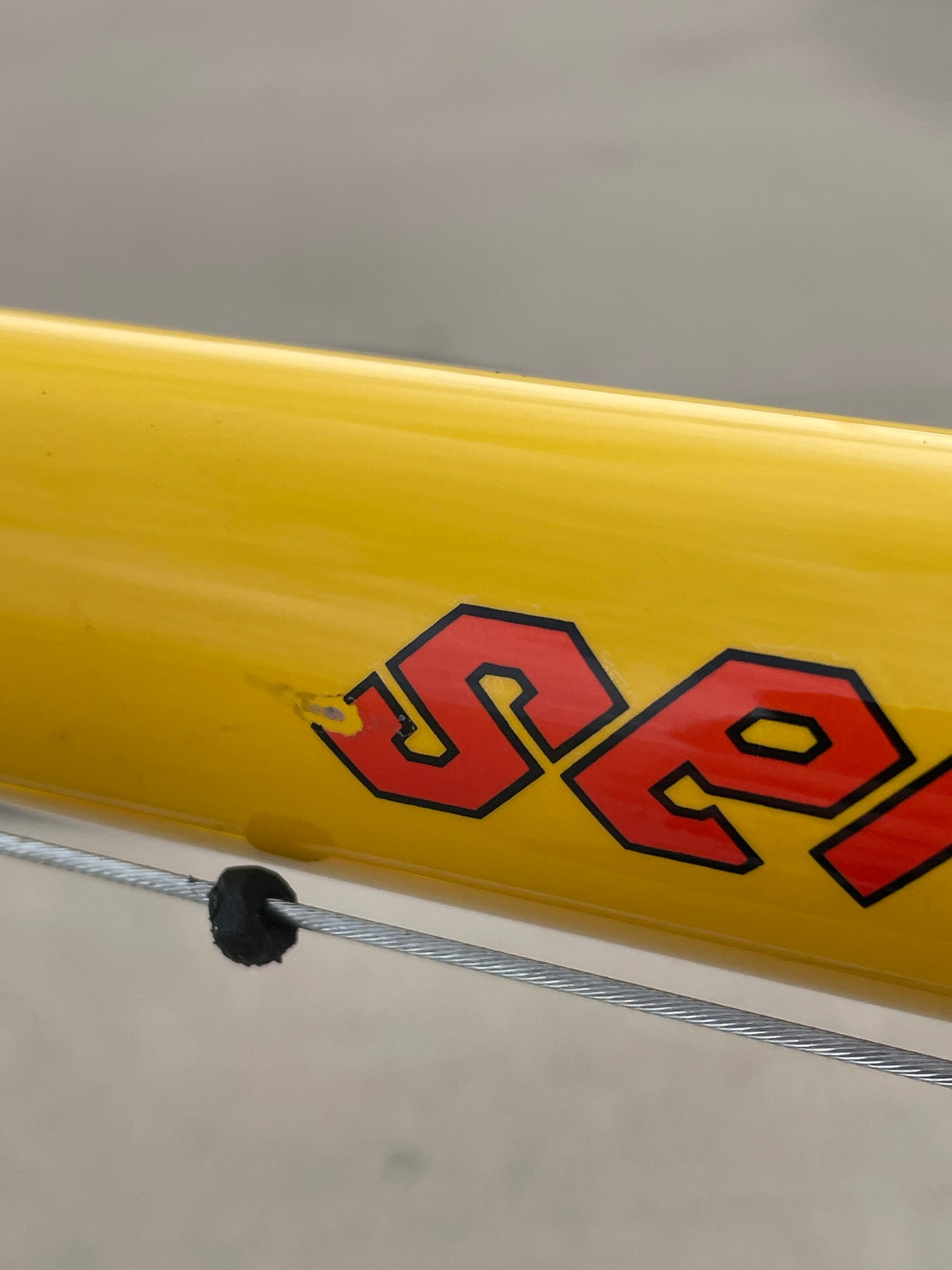 Serotta Legend Ti / Sierra Nevada Team Colors