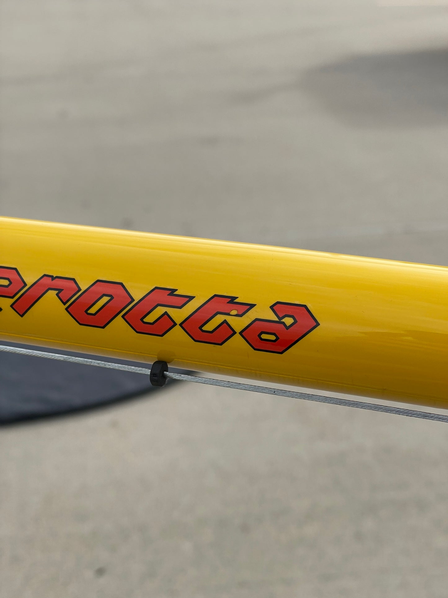 Serotta Legend Ti / Sierra Nevada Team Colors