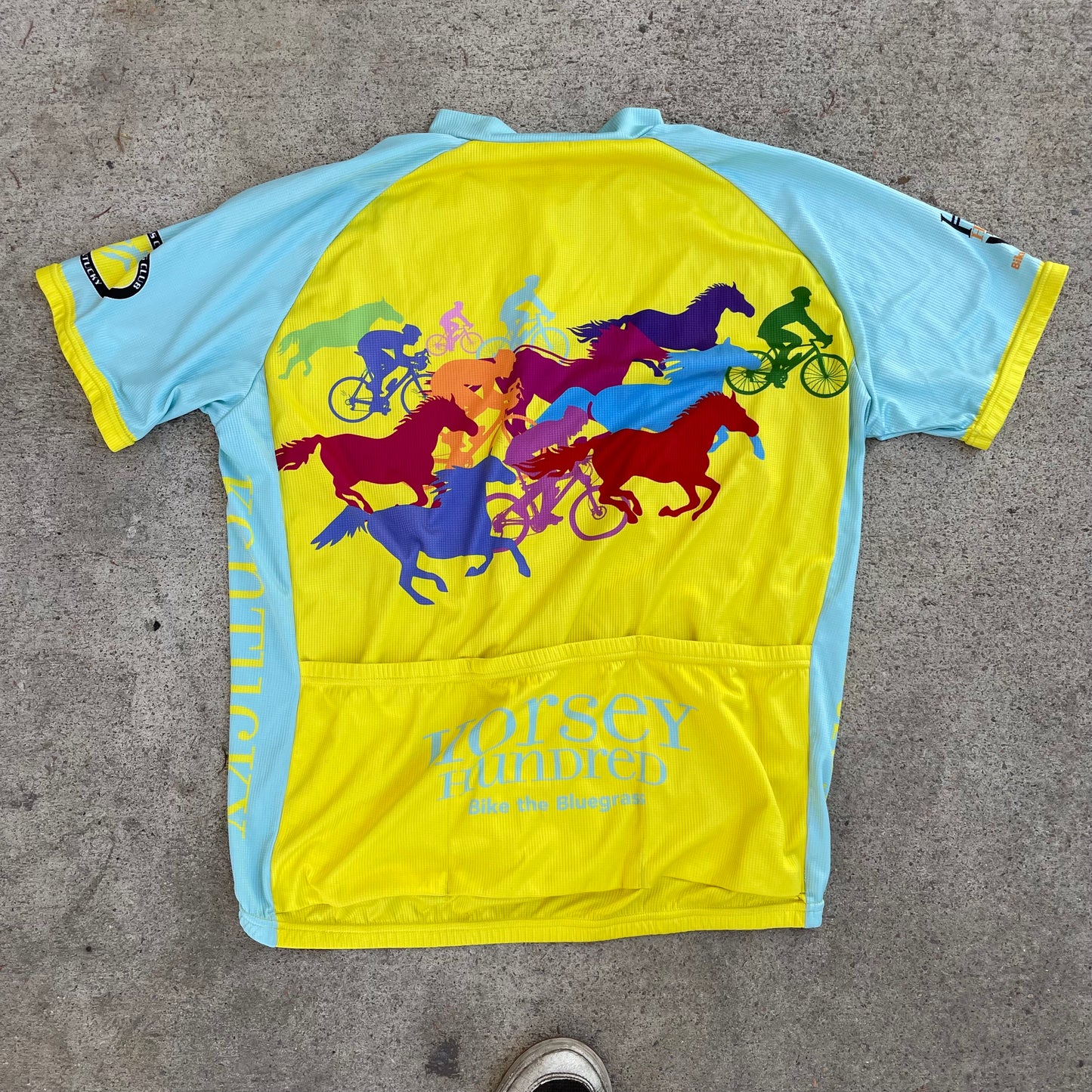 2019 Bike The Bluegrass Jersey