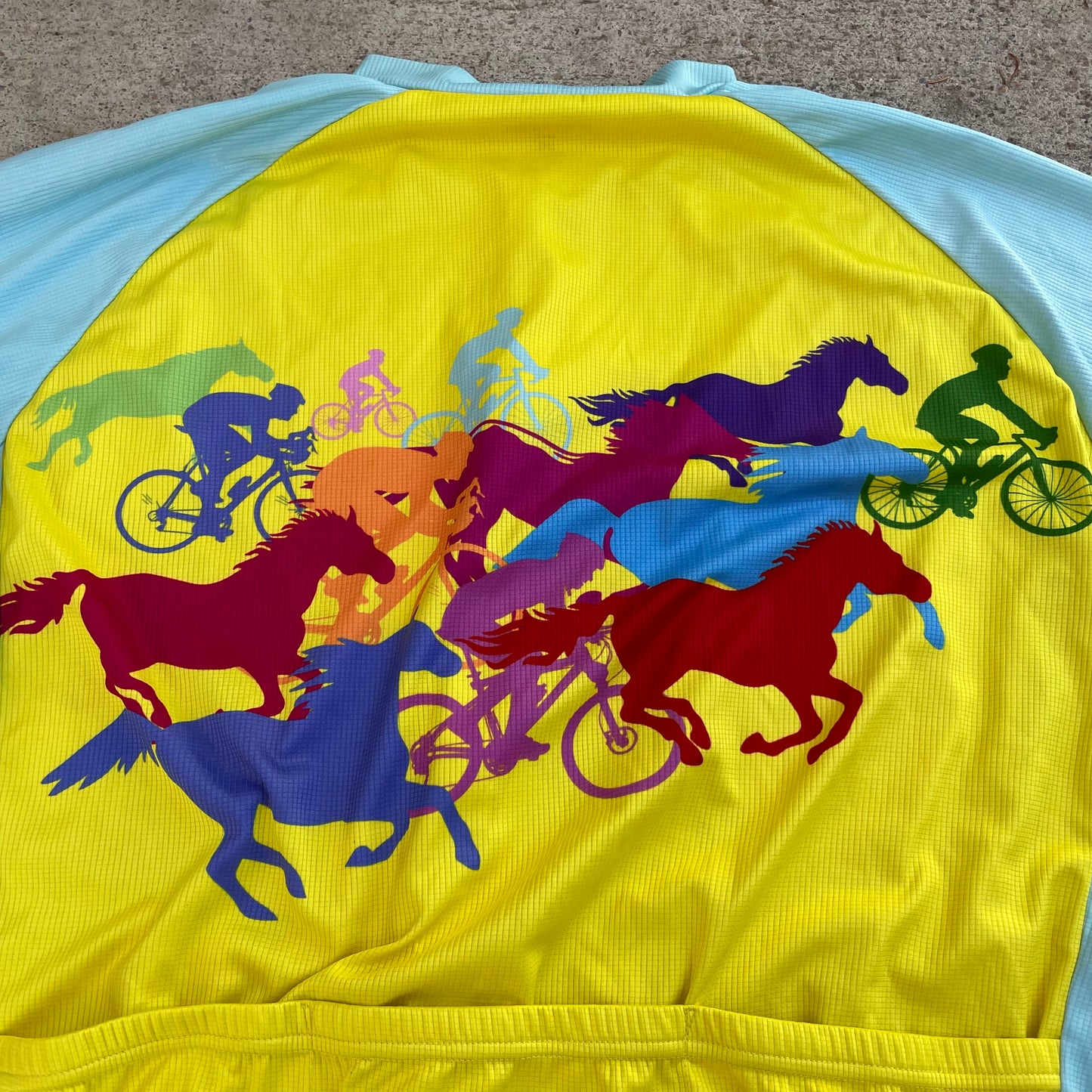 2019 Bike The Bluegrass Jersey