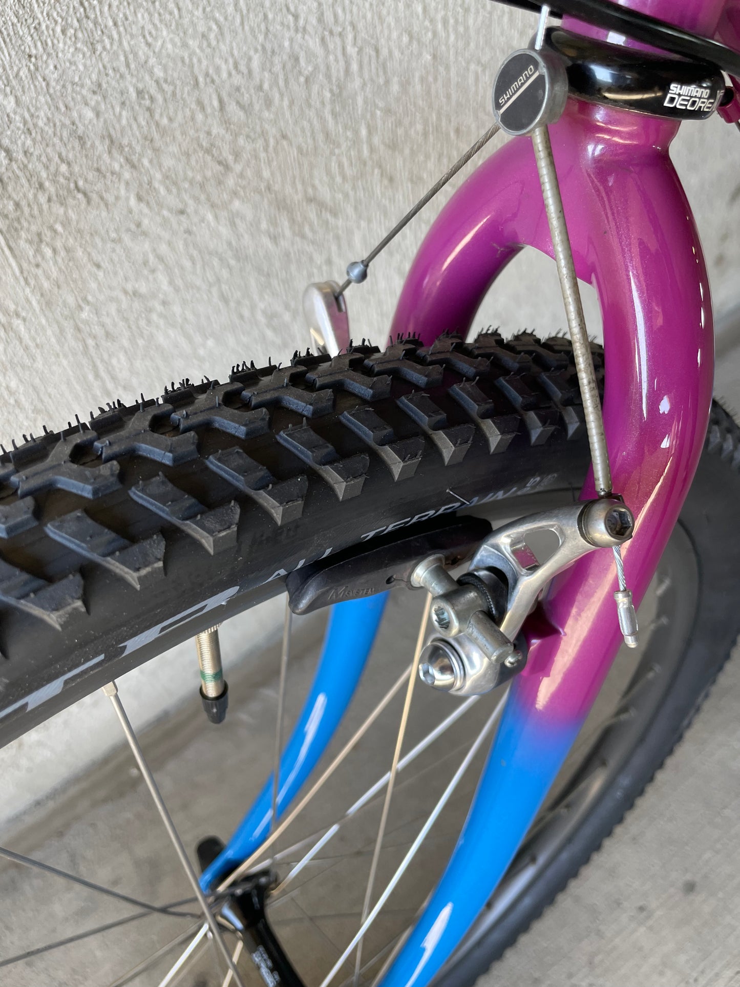 Fowler Cycles MTB