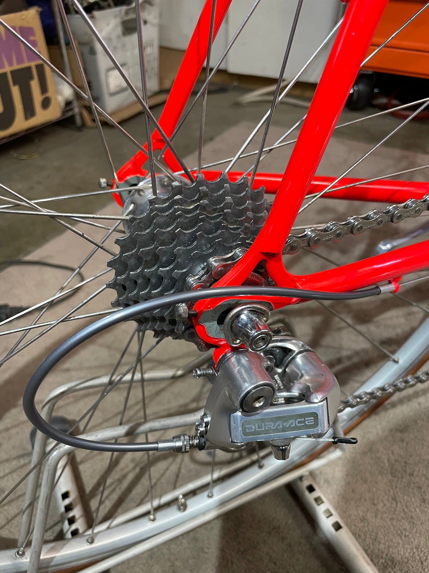 Serotta Colorado CRL