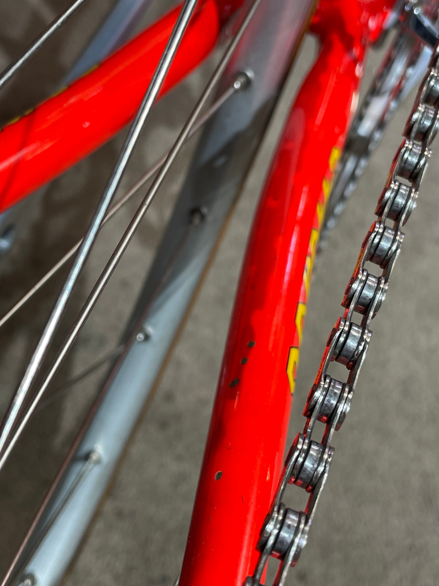 Serotta Colorado CRL