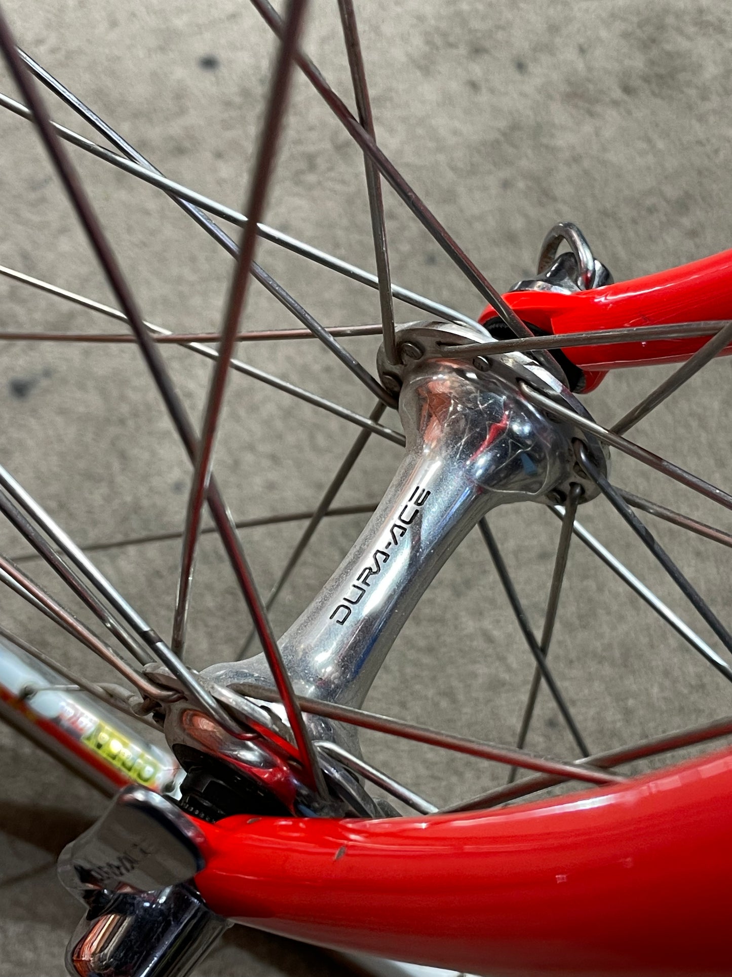 Serotta Colorado CRL