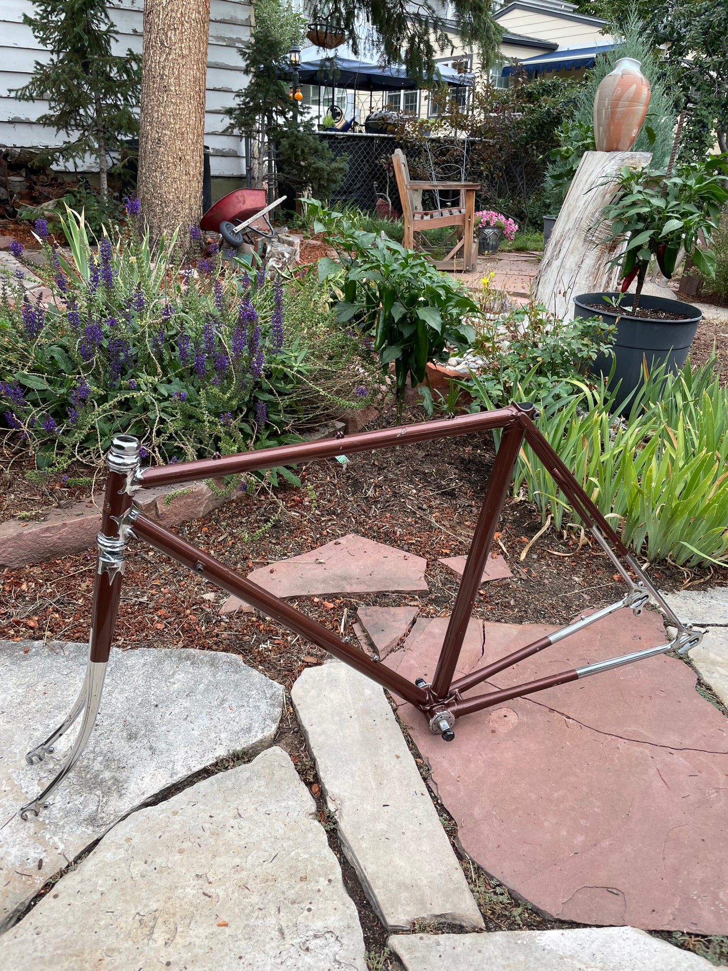 Raleigh International