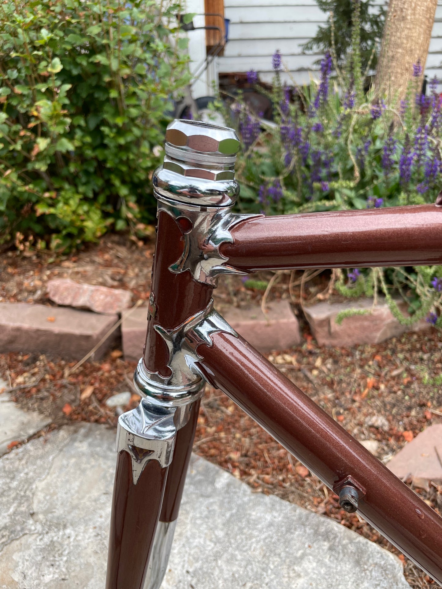 Raleigh International