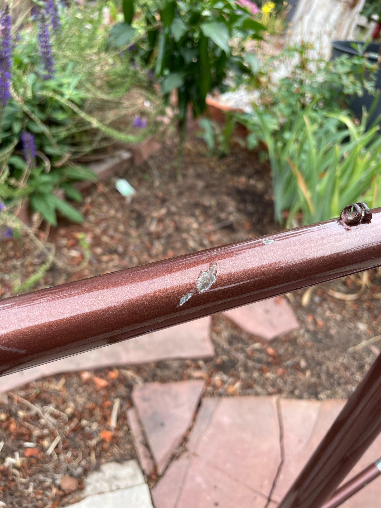 Raleigh International