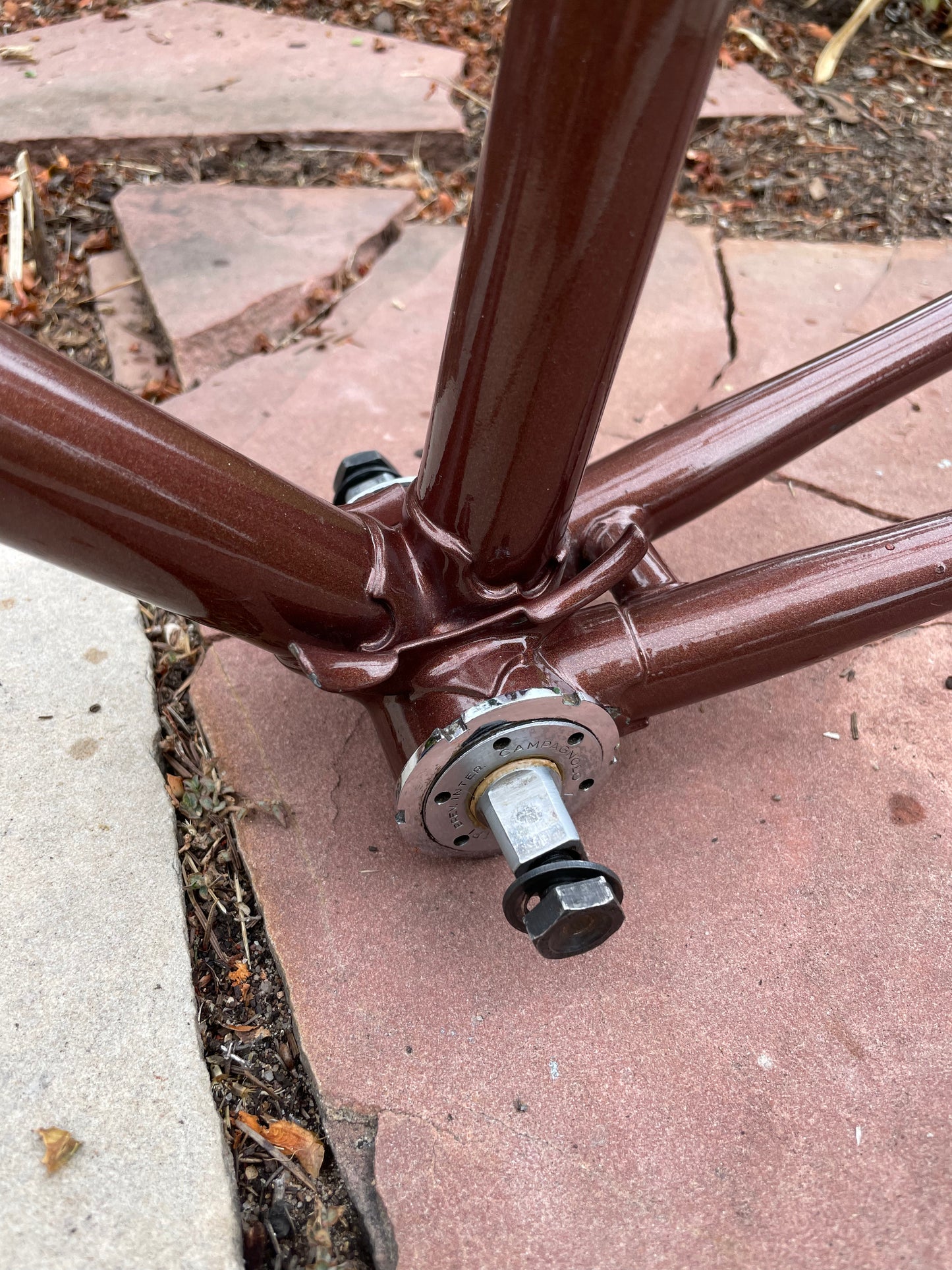 Raleigh International