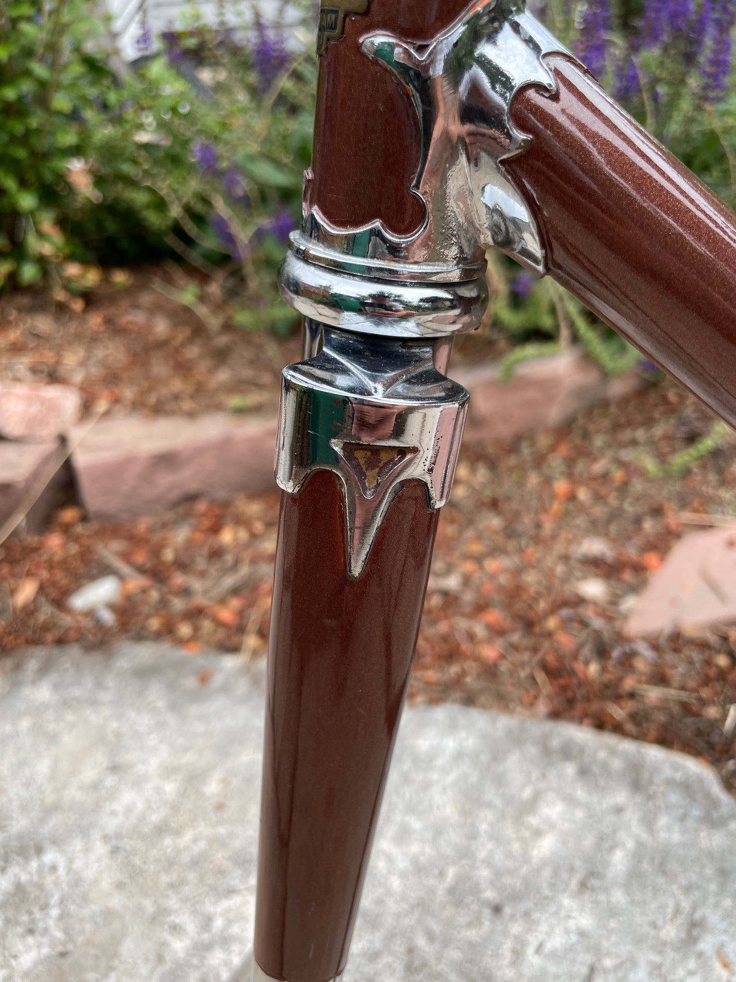 Raleigh International