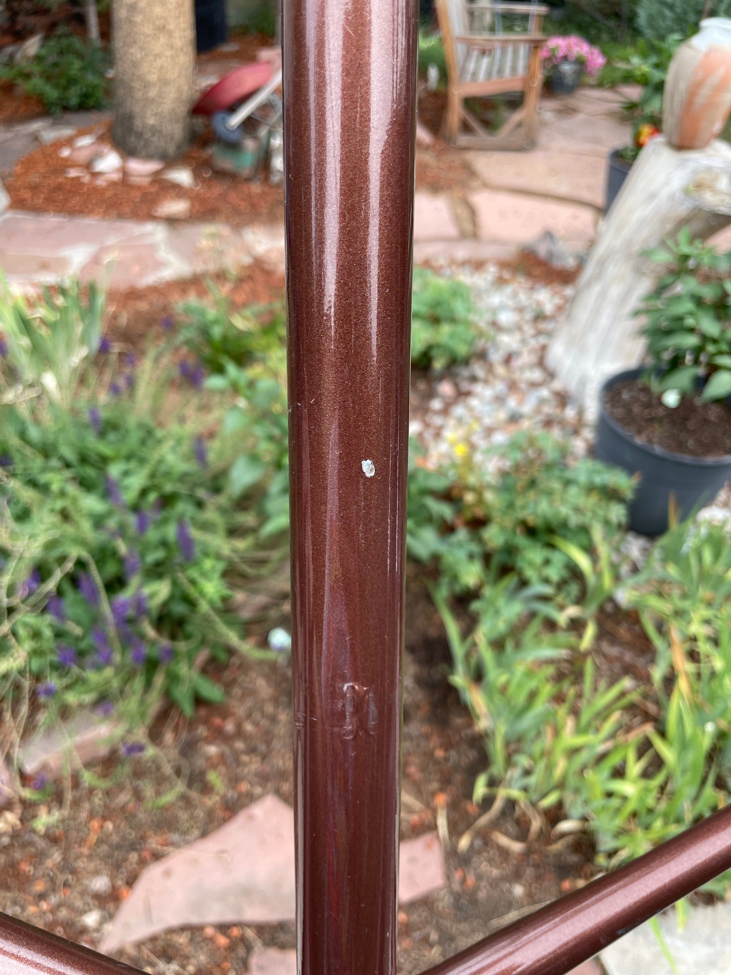 Raleigh International