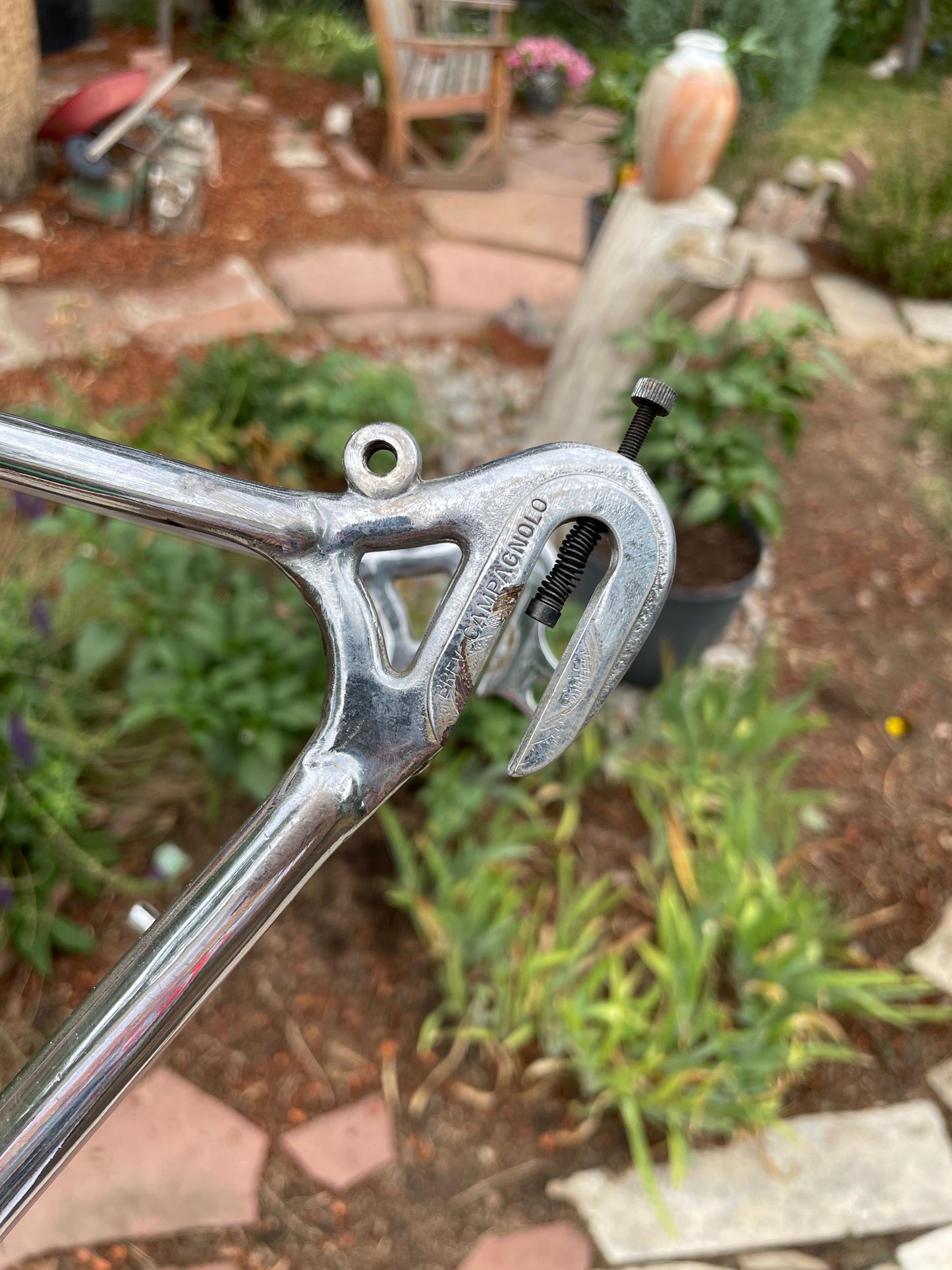 Raleigh International