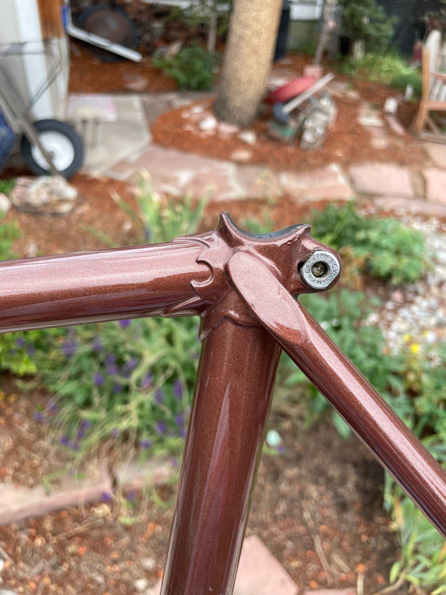 Raleigh International