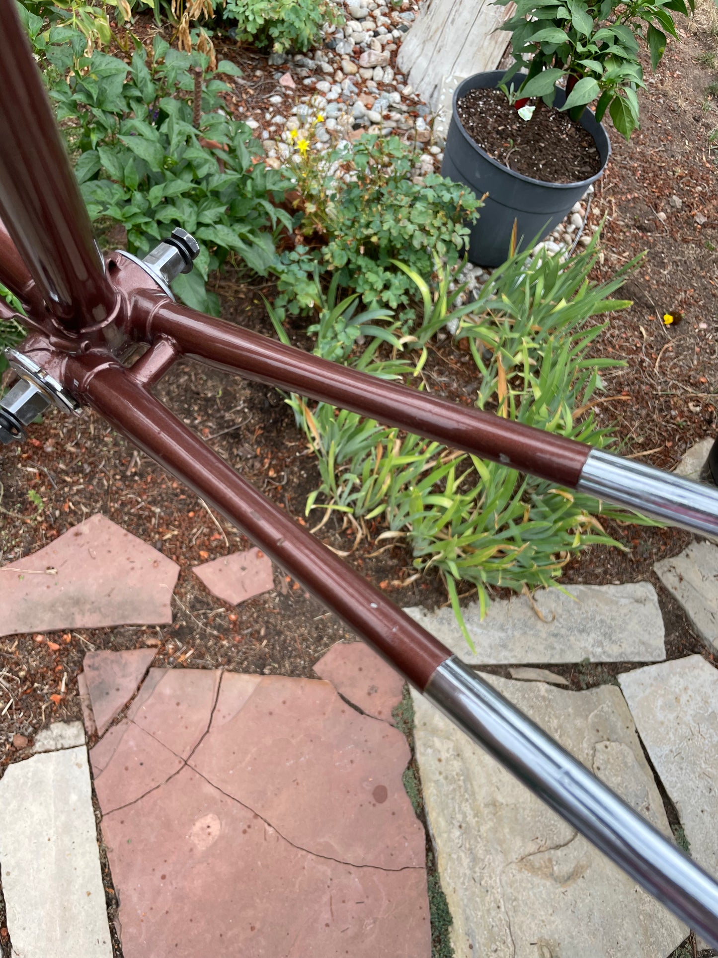 Raleigh International