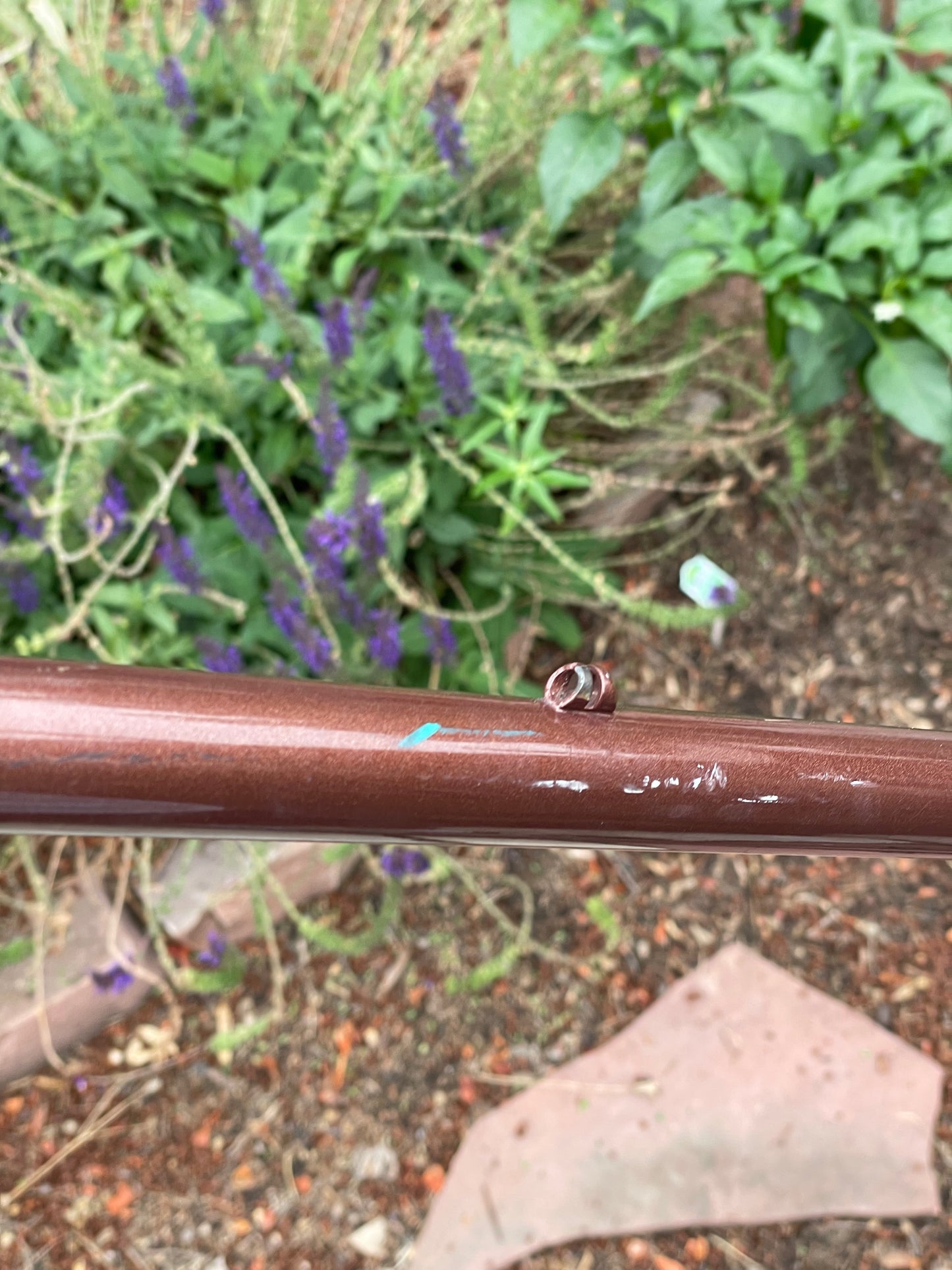 Raleigh International