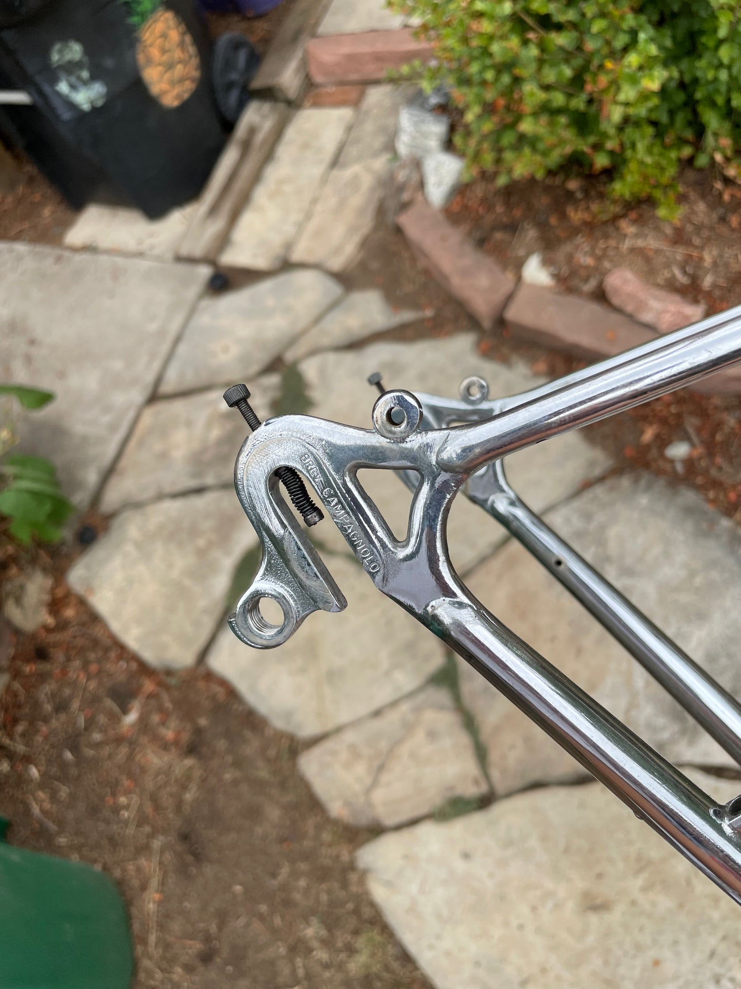 Raleigh International