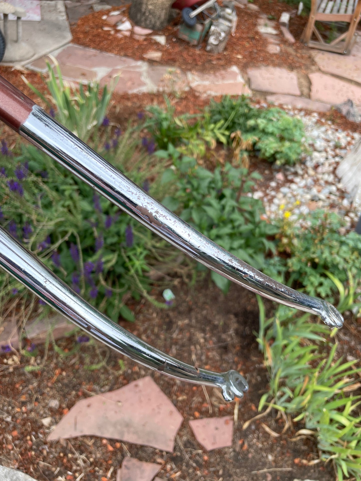 Raleigh International