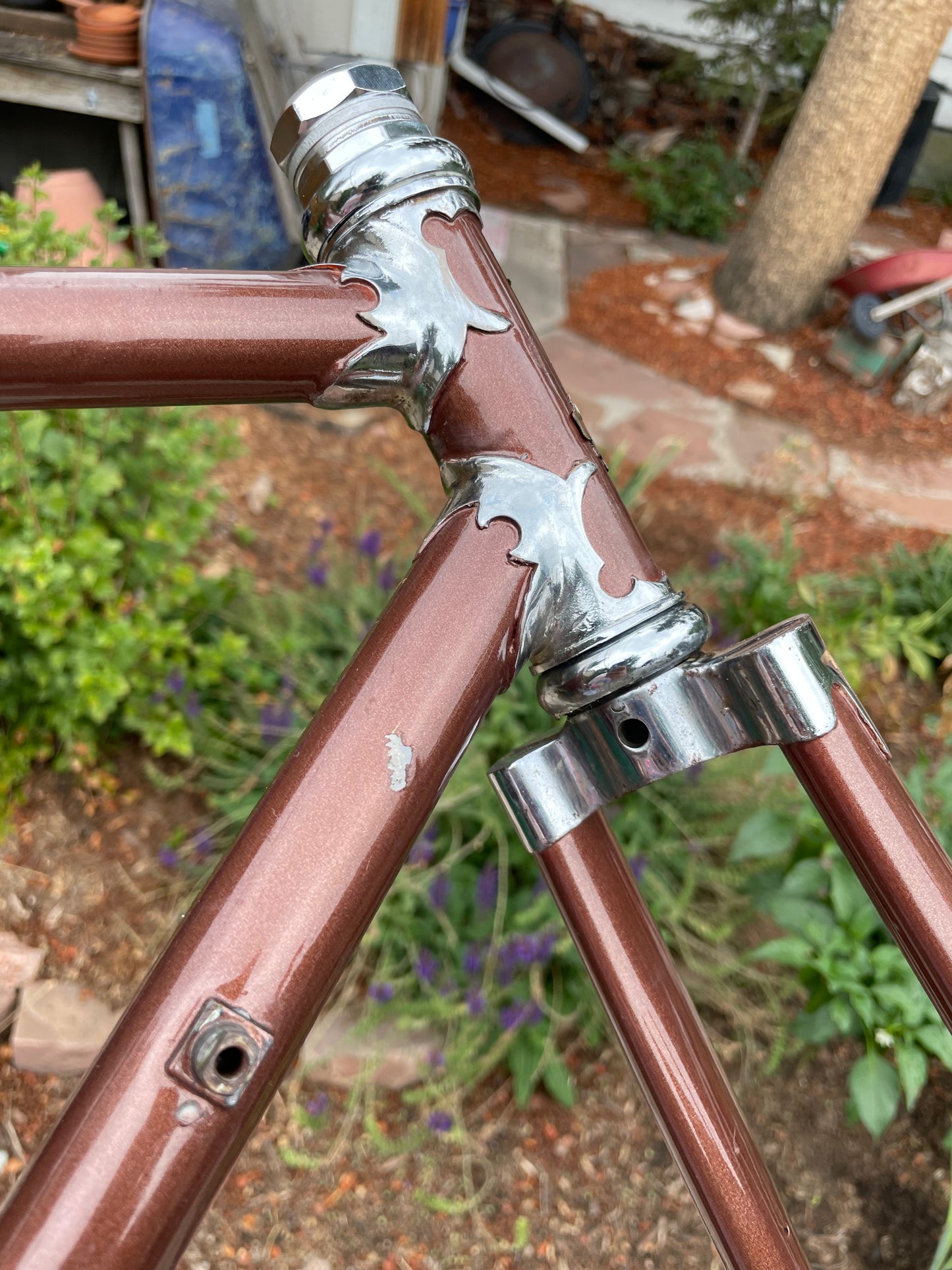 Raleigh International