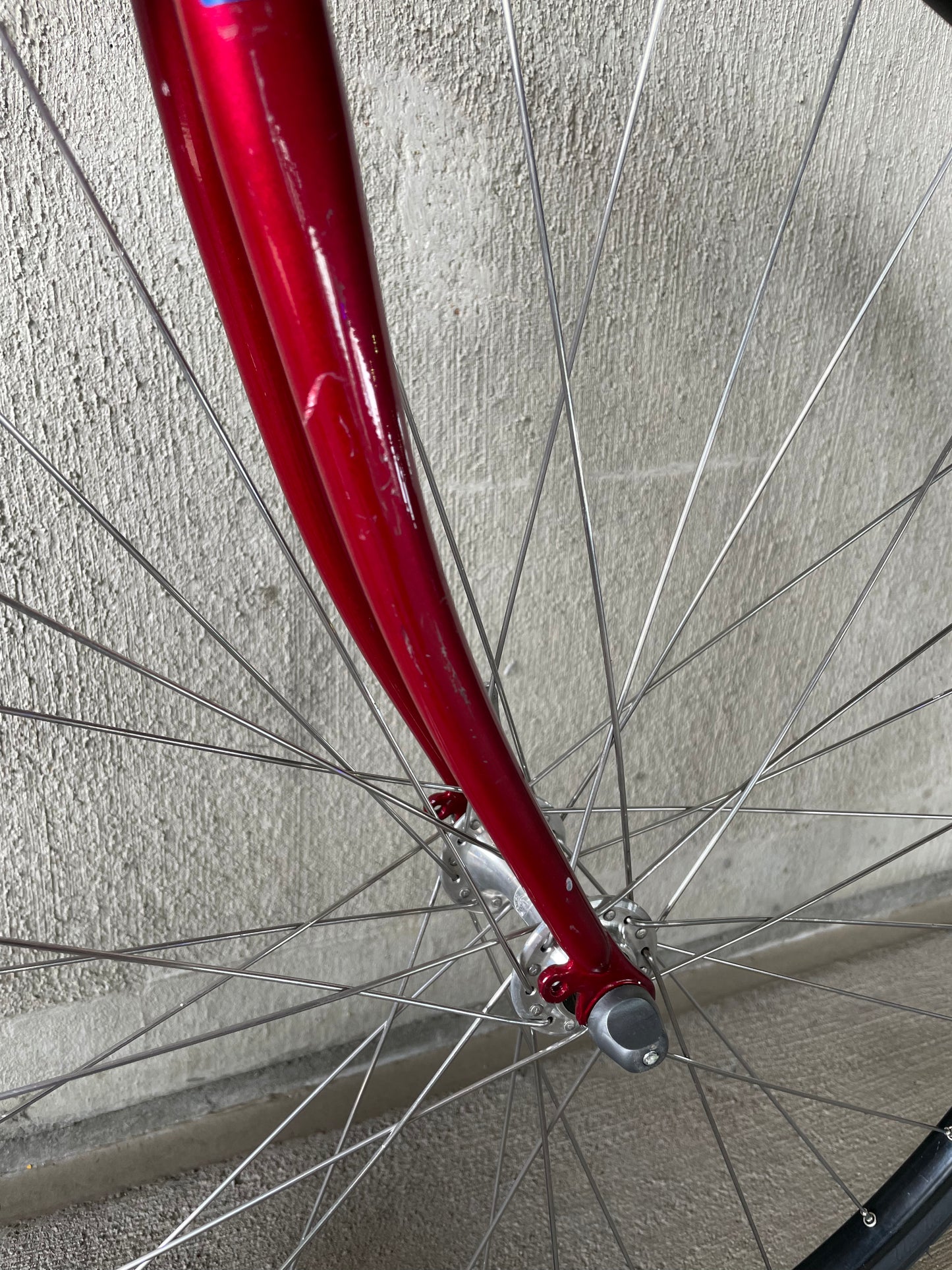 Bianchi Eros