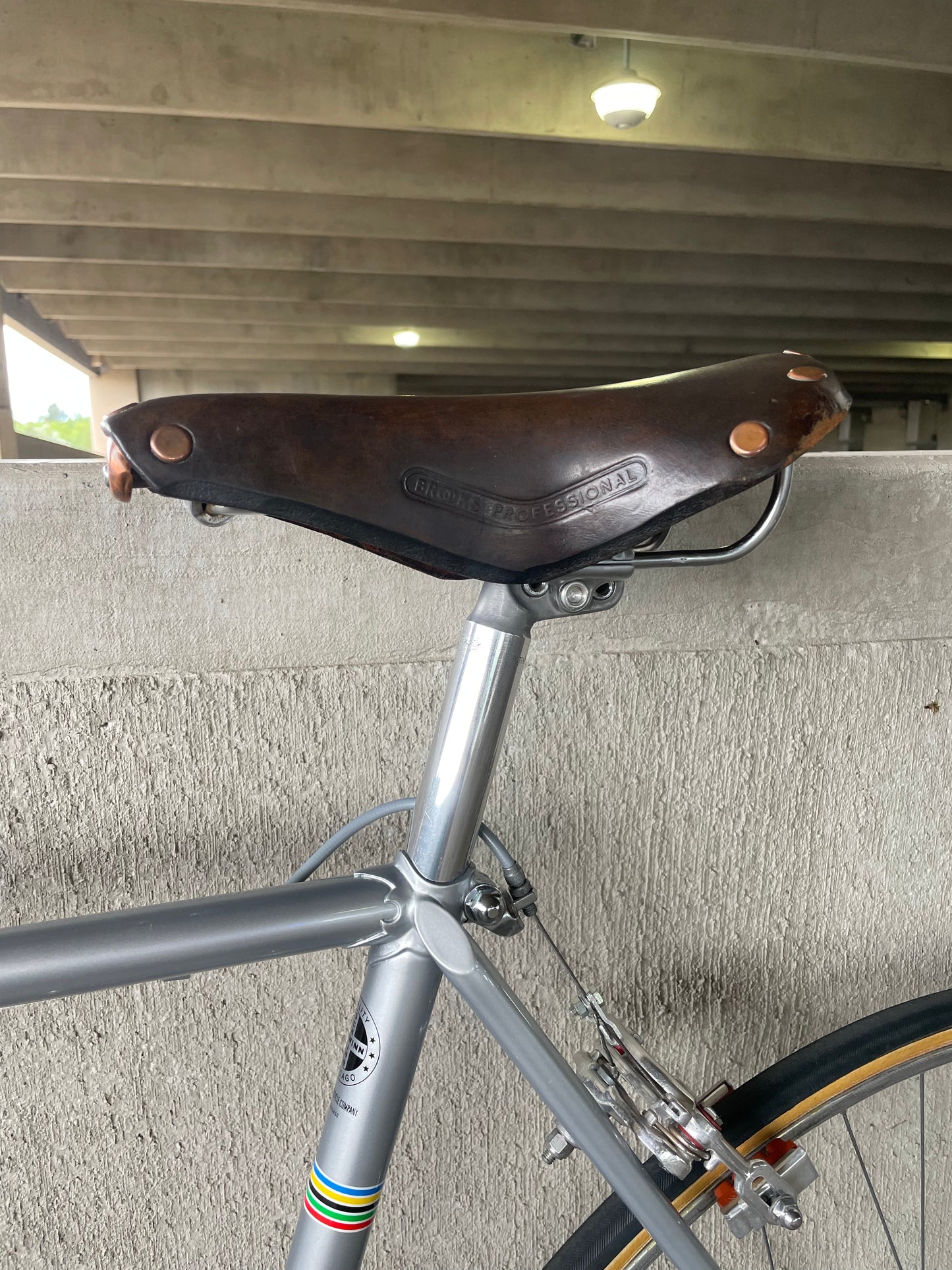 1973 Schwinn Paramount