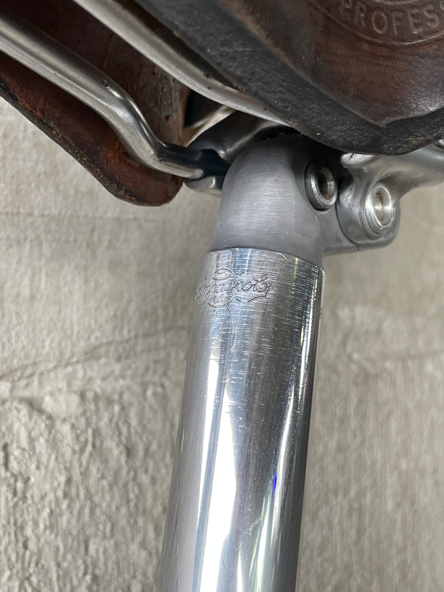 1973 Schwinn Paramount