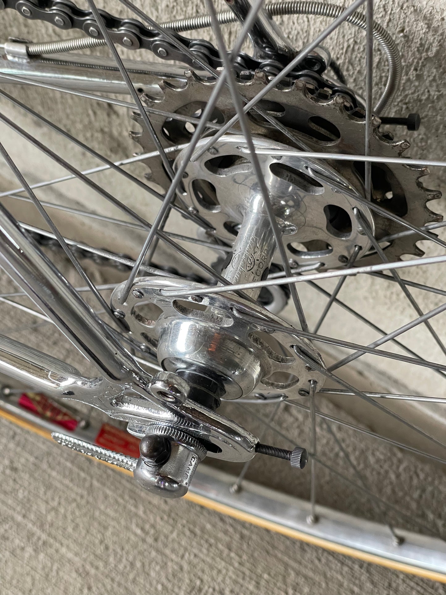 1973 Schwinn Paramount