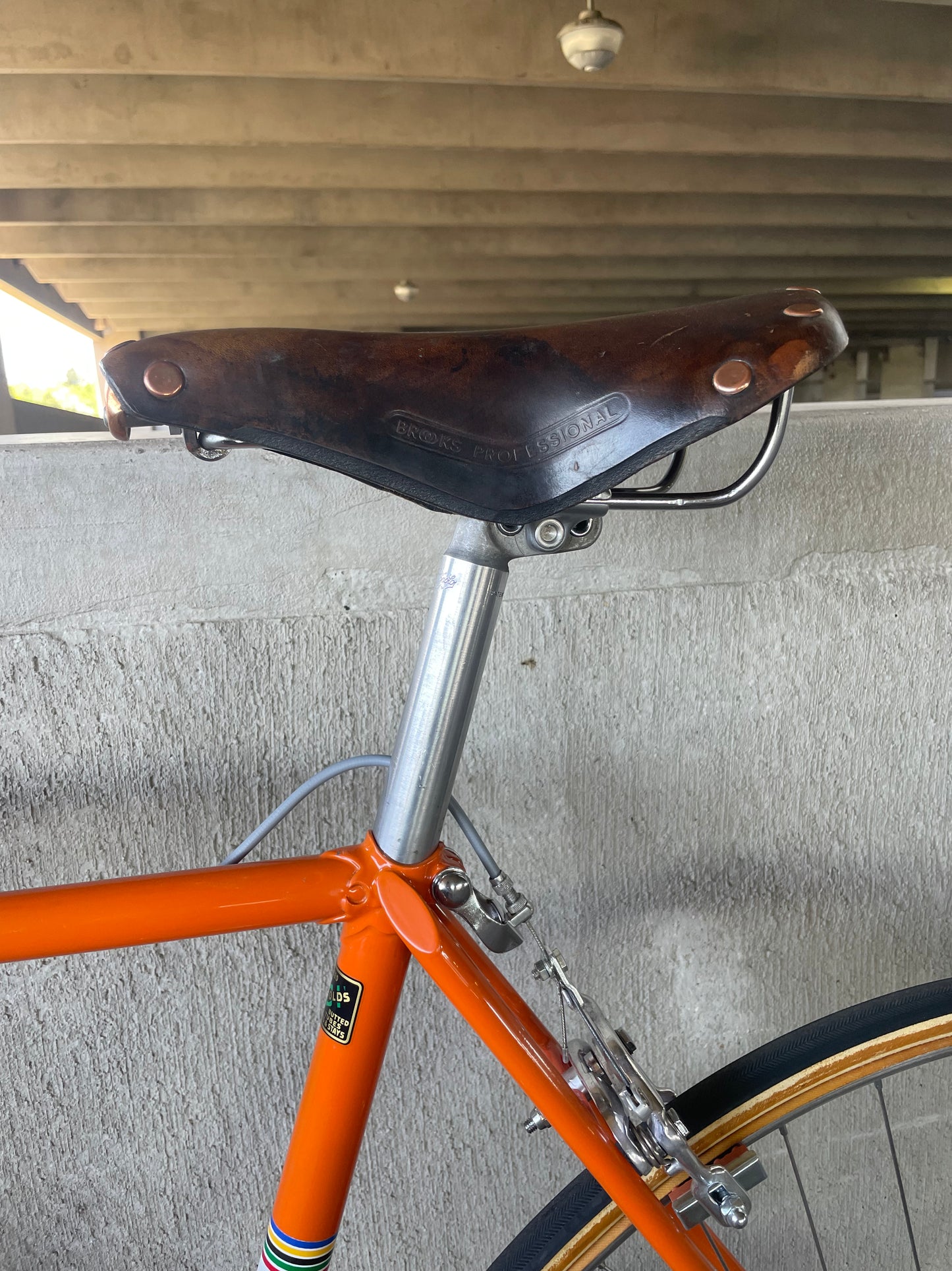 Schwinn Paramount